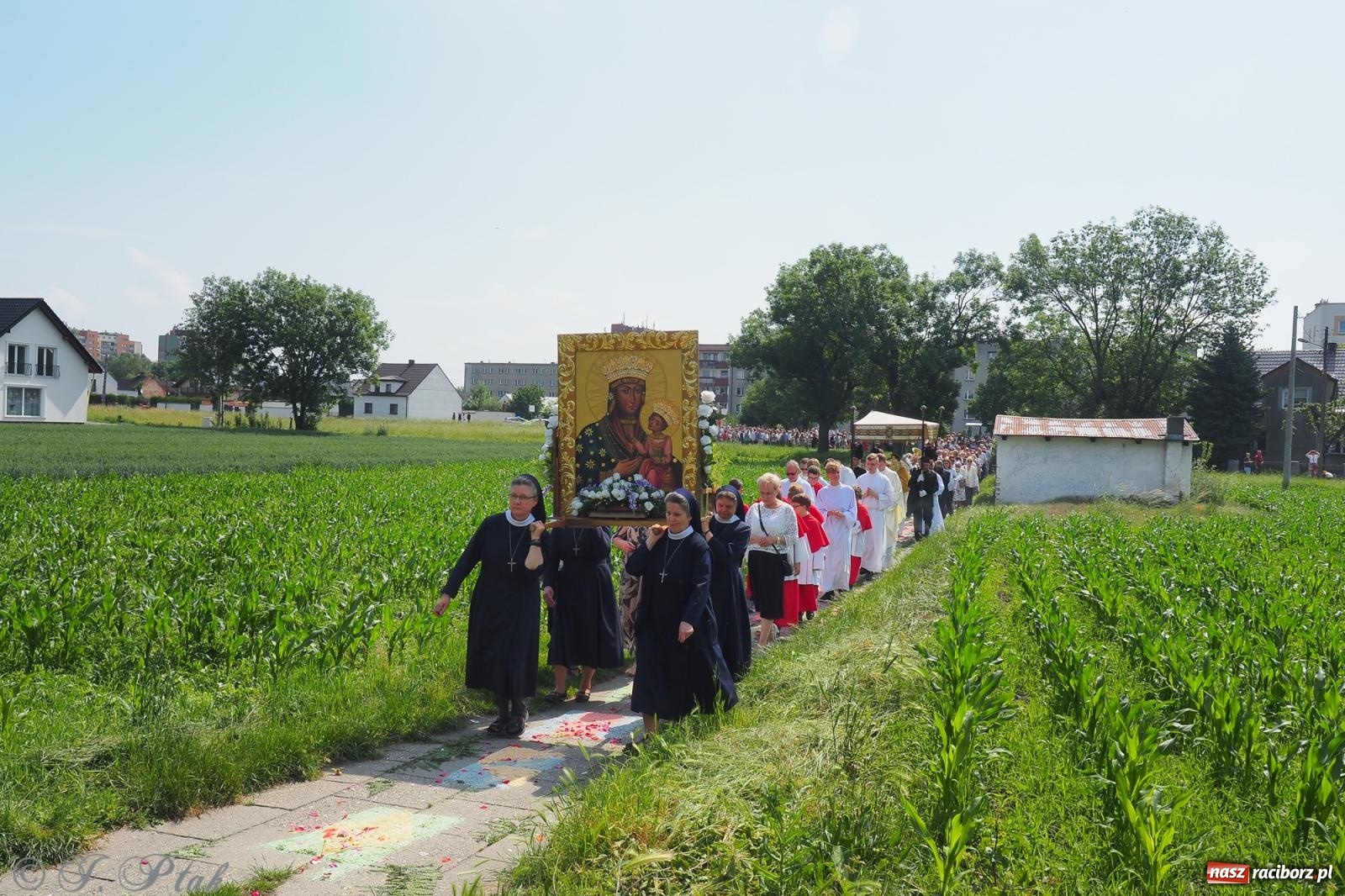 Zdjęcie w galerii na portalu naszraciborz.pl: Z Maryją przez osiedla i łąki. Boże Ciało w parafii Matki Bożej [FOTO i WIDEO] wiadomości z regionu