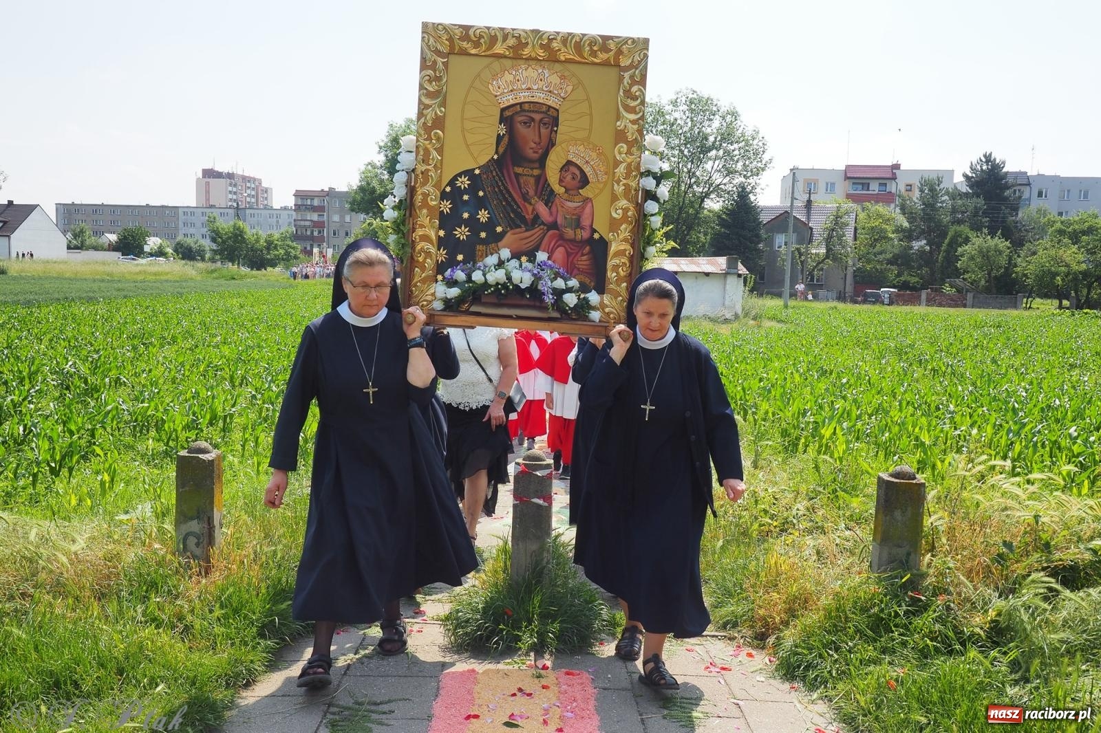 Zdjęcie w galerii na portalu naszraciborz.pl: Z Maryją przez osiedla i łąki. Boże Ciało w parafii Matki Bożej [FOTO i WIDEO] wiadomości z regionu