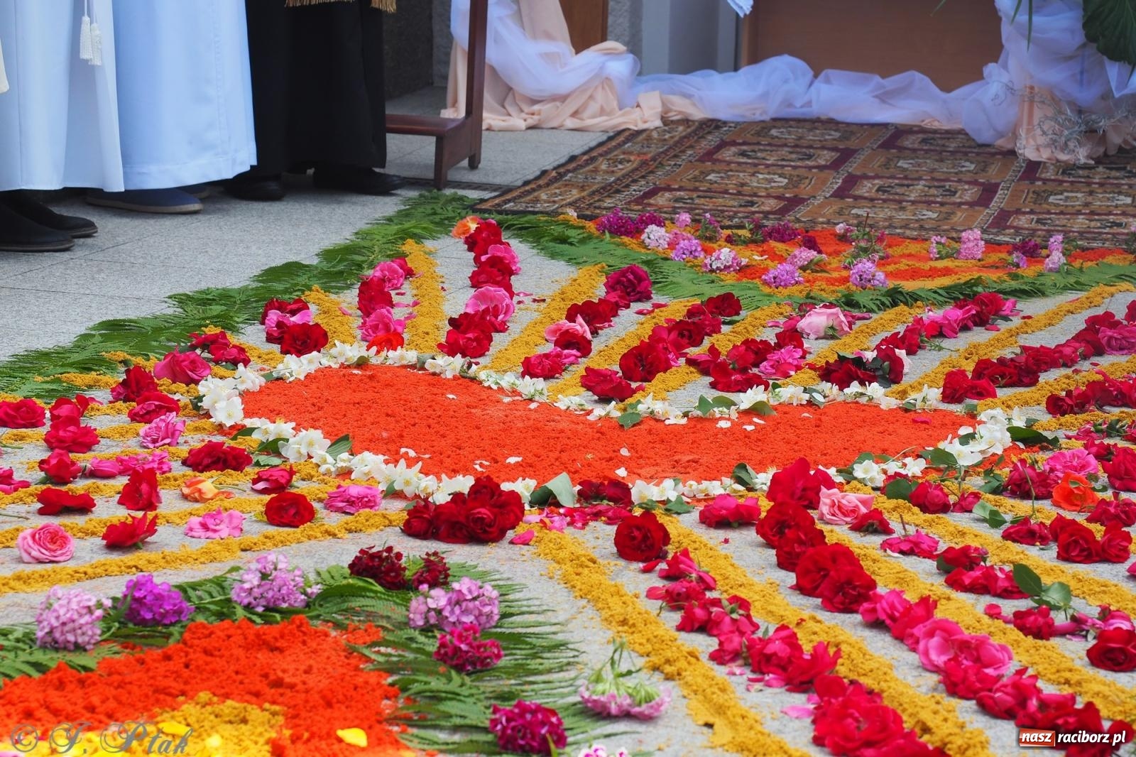 Zdjęcie w galerii na portalu naszraciborz.pl: Z Maryją przez osiedla i łąki. Boże Ciało w parafii Matki Bożej [FOTO i WIDEO] wiadomości z regionu