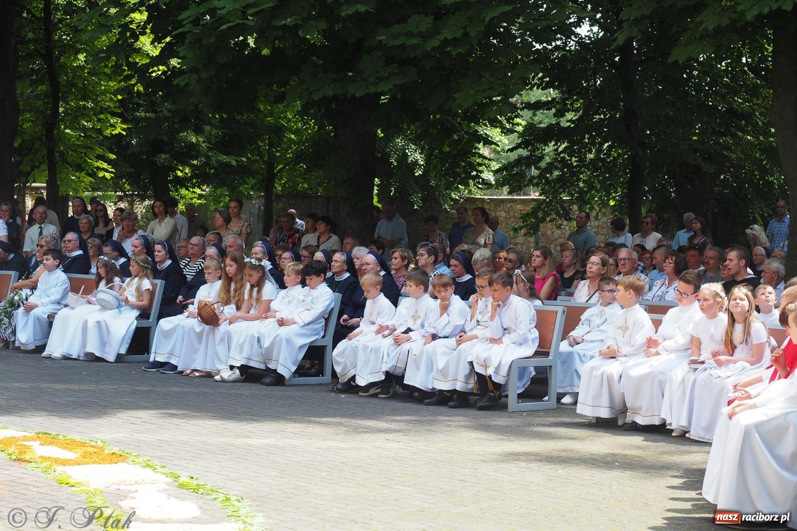 Zdjęcie w galerii na portalu naszraciborz.pl: Z Maryją przez osiedla i łąki. Boże Ciało w parafii Matki Bożej [FOTO i WIDEO] wiadomości z regionu