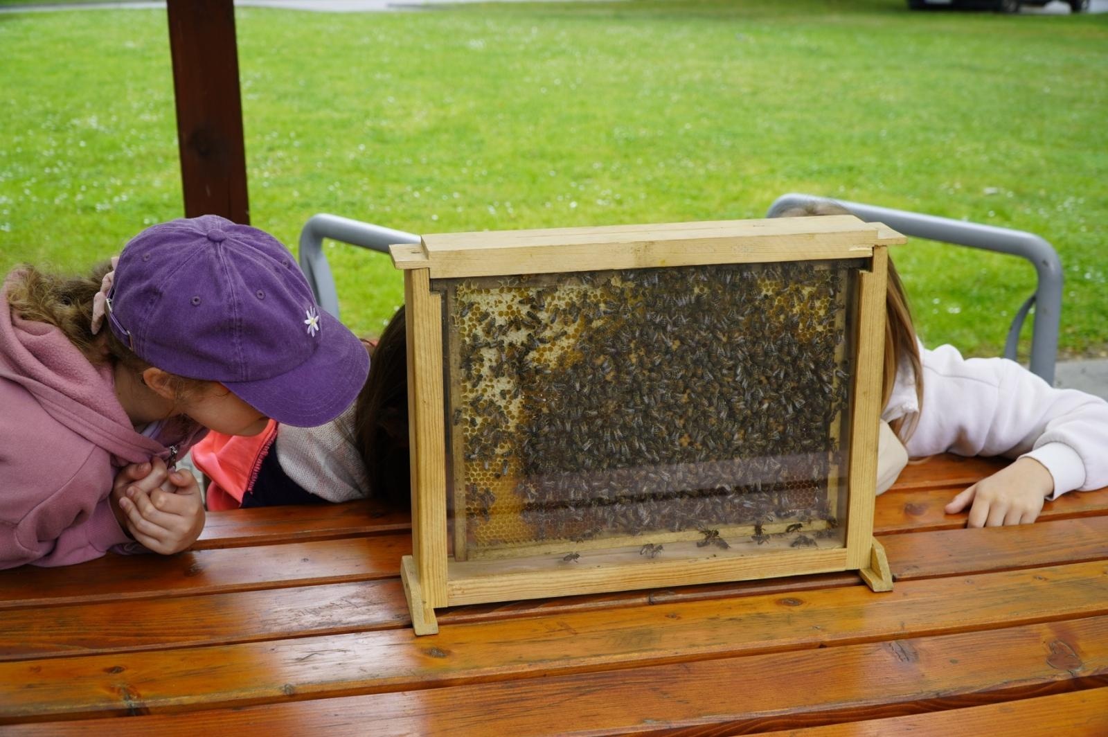 Zdjęcie w galerii na portalu naszraciborz.pl: Eko-rajd rowerowy i Światowy Dzień Pszczoły na Kempingu Obora wiadomości z regionu