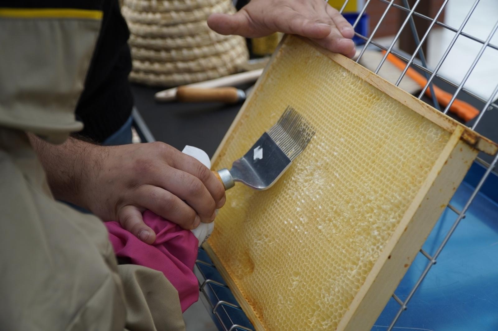 Zdjęcie w galerii na portalu naszraciborz.pl: Eko-rajd rowerowy i Światowy Dzień Pszczoły na Kempingu Obora wiadomości z regionu