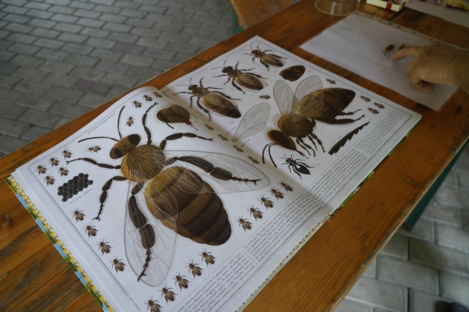 Zdjęcie w galerii na portalu naszraciborz.pl: Eko-rajd rowerowy i Światowy Dzień Pszczoły na Kempingu Obora wiadomości z regionu