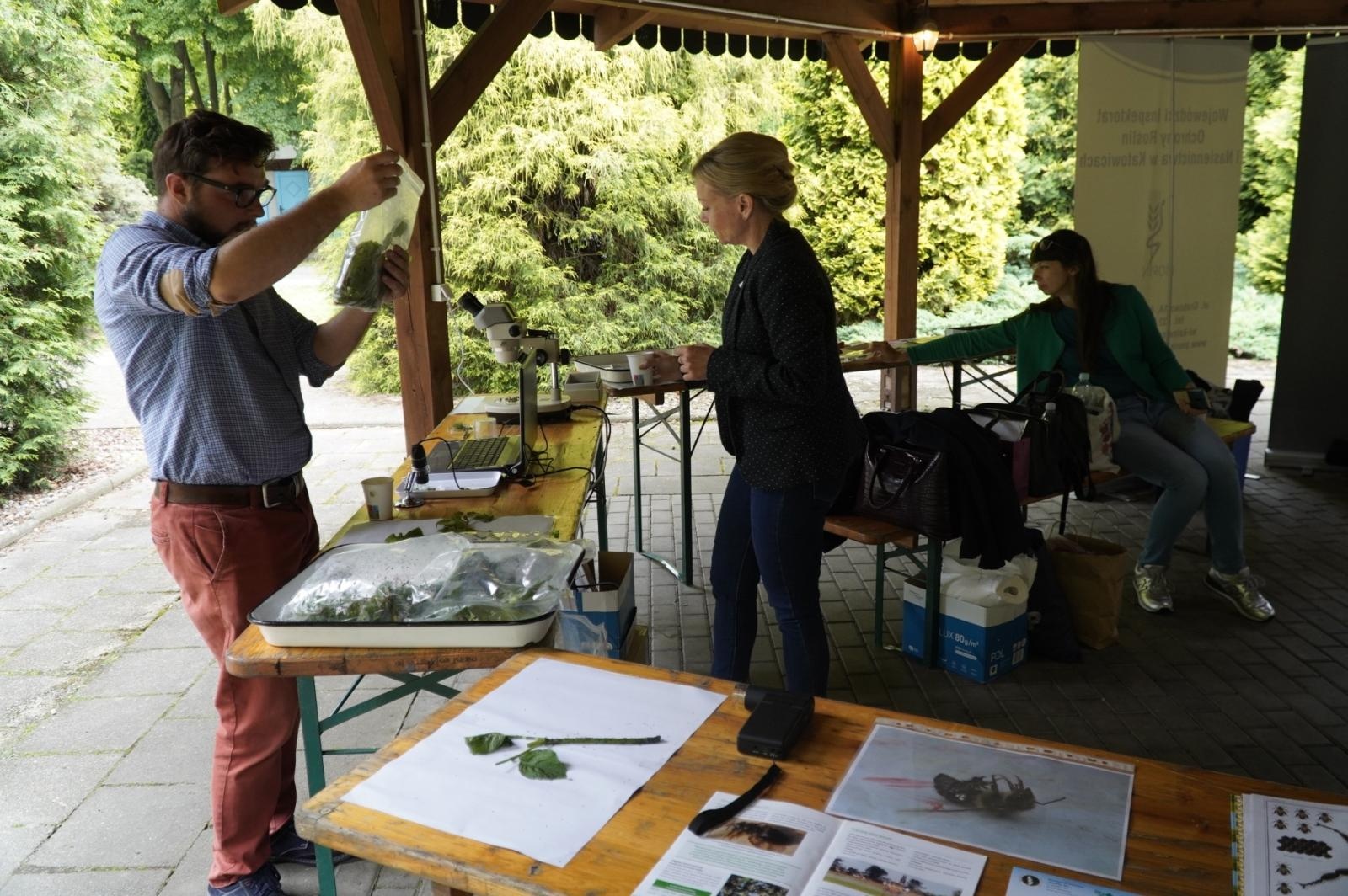 Zdjęcie w galerii na portalu naszraciborz.pl: Eko-rajd rowerowy i Światowy Dzień Pszczoły na Kempingu Obora wiadomości z regionu