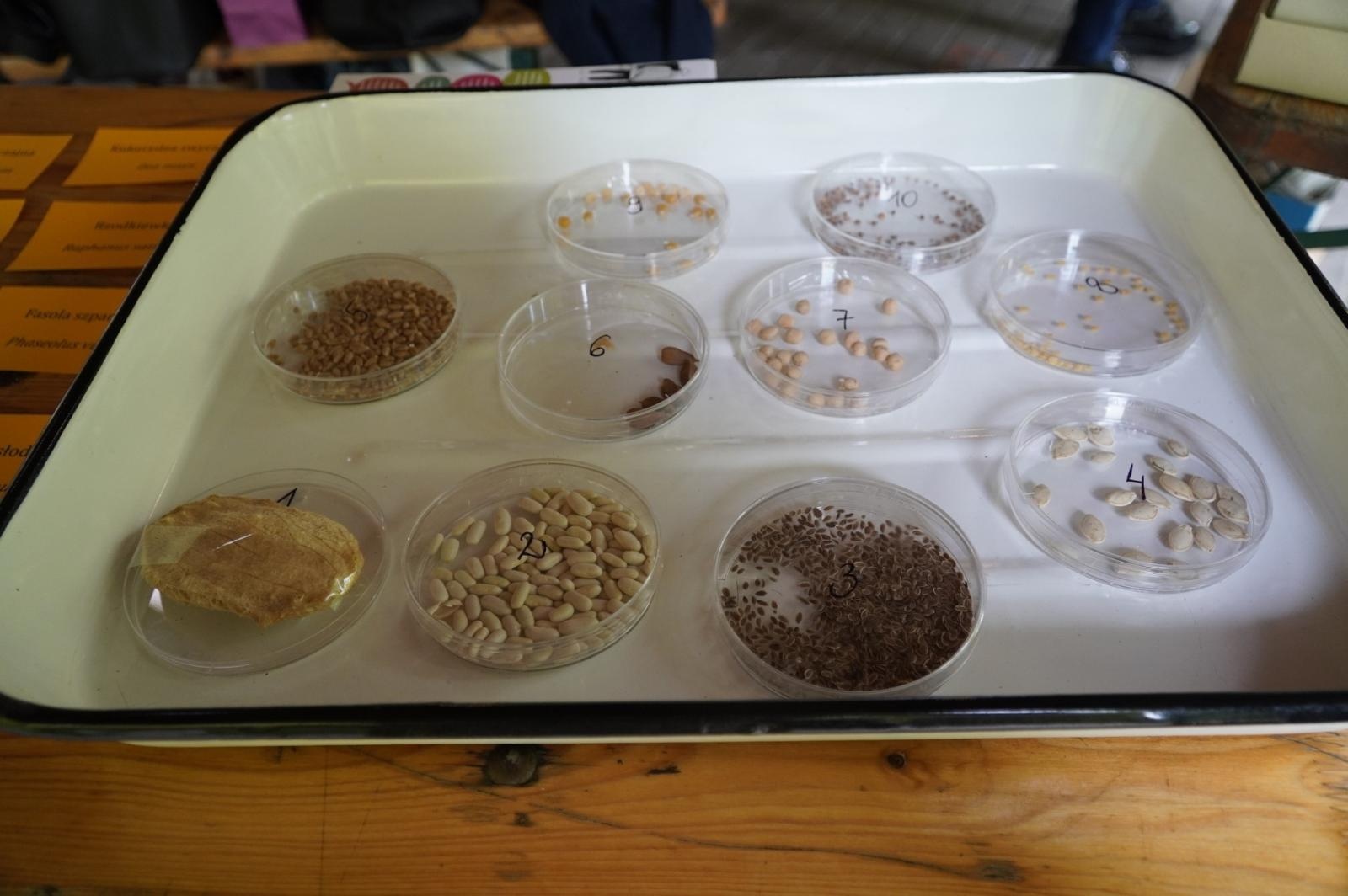 Zdjęcie w galerii na portalu naszraciborz.pl: Eko-rajd rowerowy i Światowy Dzień Pszczoły na Kempingu Obora wiadomości z regionu