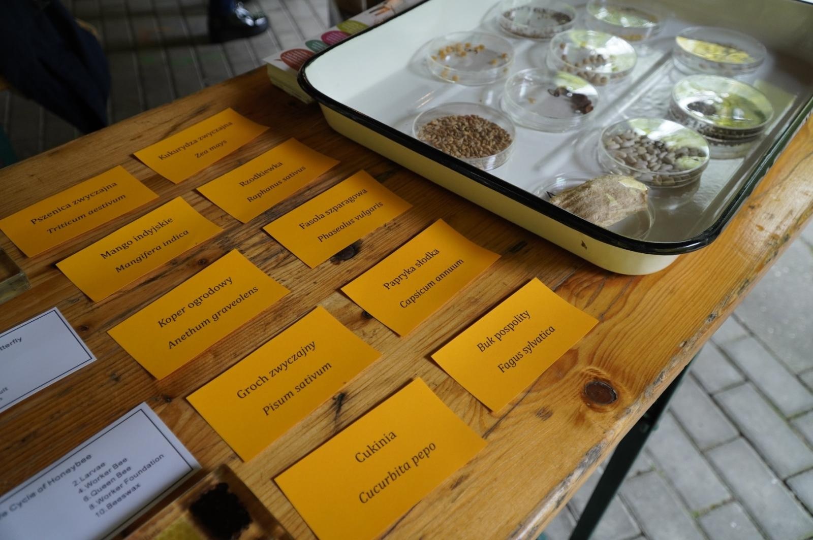 Zdjęcie w galerii na portalu naszraciborz.pl: Eko-rajd rowerowy i Światowy Dzień Pszczoły na Kempingu Obora wiadomości z regionu