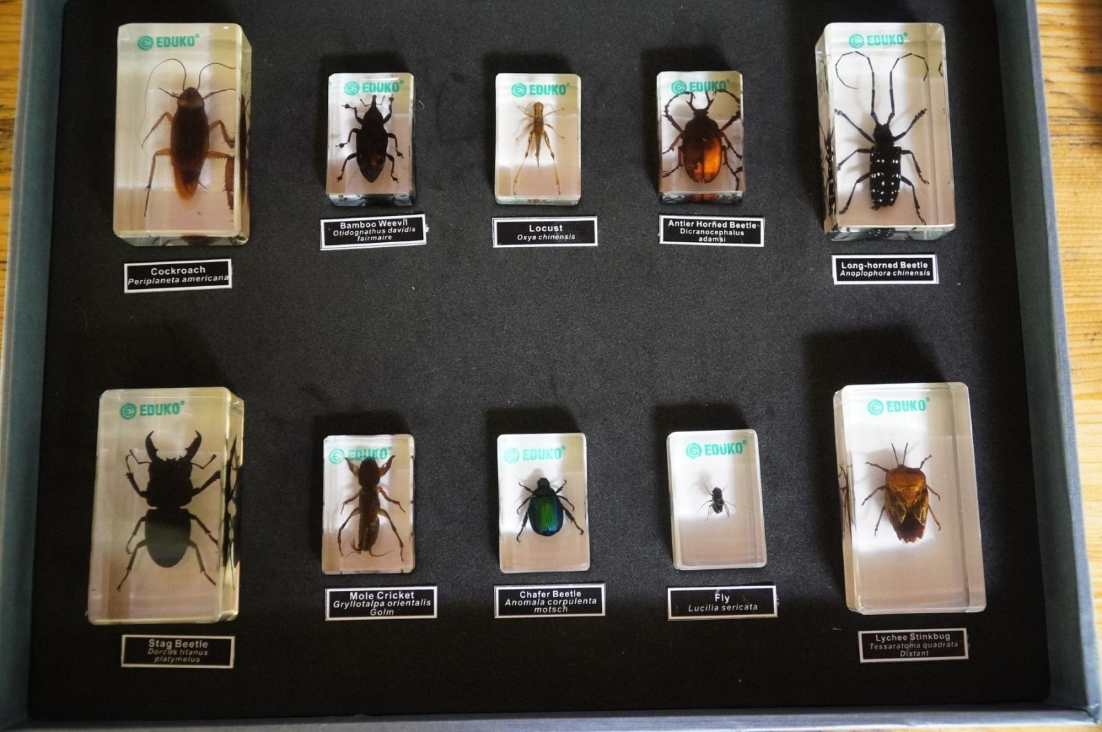 Zdjęcie w galerii na portalu naszraciborz.pl: Eko-rajd rowerowy i Światowy Dzień Pszczoły na Kempingu Obora wiadomości z regionu