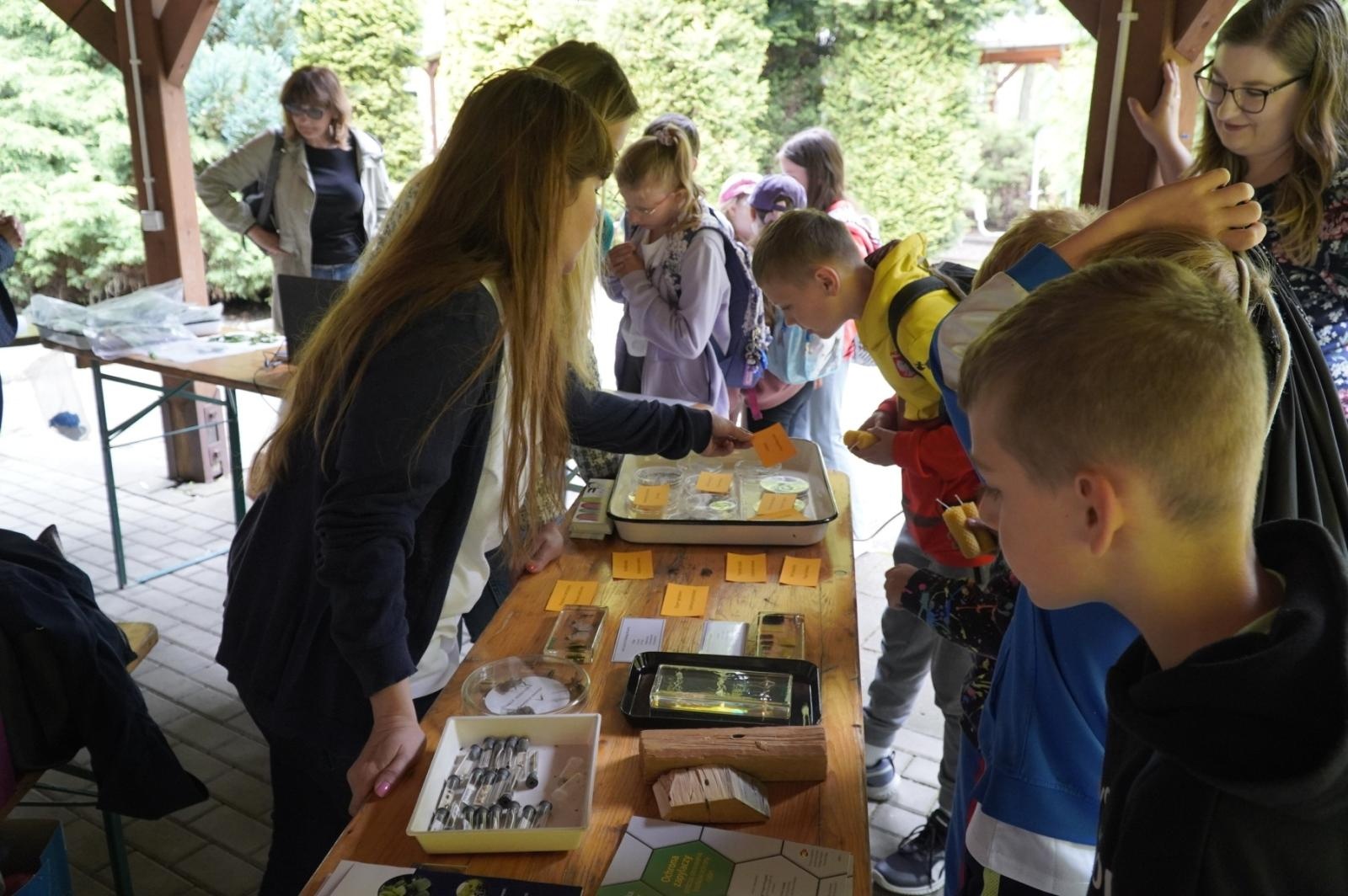 Zdjęcie w galerii na portalu naszraciborz.pl: Eko-rajd rowerowy i Światowy Dzień Pszczoły na Kempingu Obora wiadomości z regionu