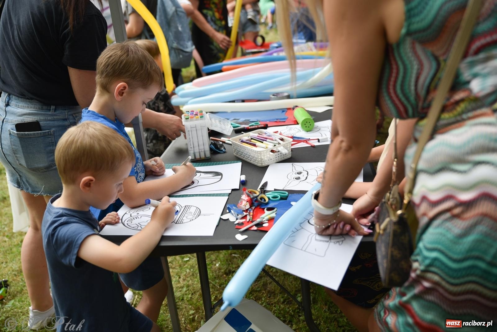Zdjęcie w galerii na portalu naszraciborz.pl: Mikser, Skaza i świetlne miecze w parku im. Miasta Roth [FOTO i WIDEO] wiadomości z regionu