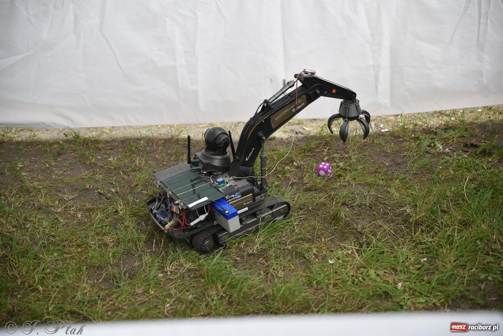 Zdjęcie w galerii na portalu naszraciborz.pl: Mikser, Skaza i świetlne miecze w parku im. Miasta Roth [FOTO i WIDEO] wiadomości z regionu