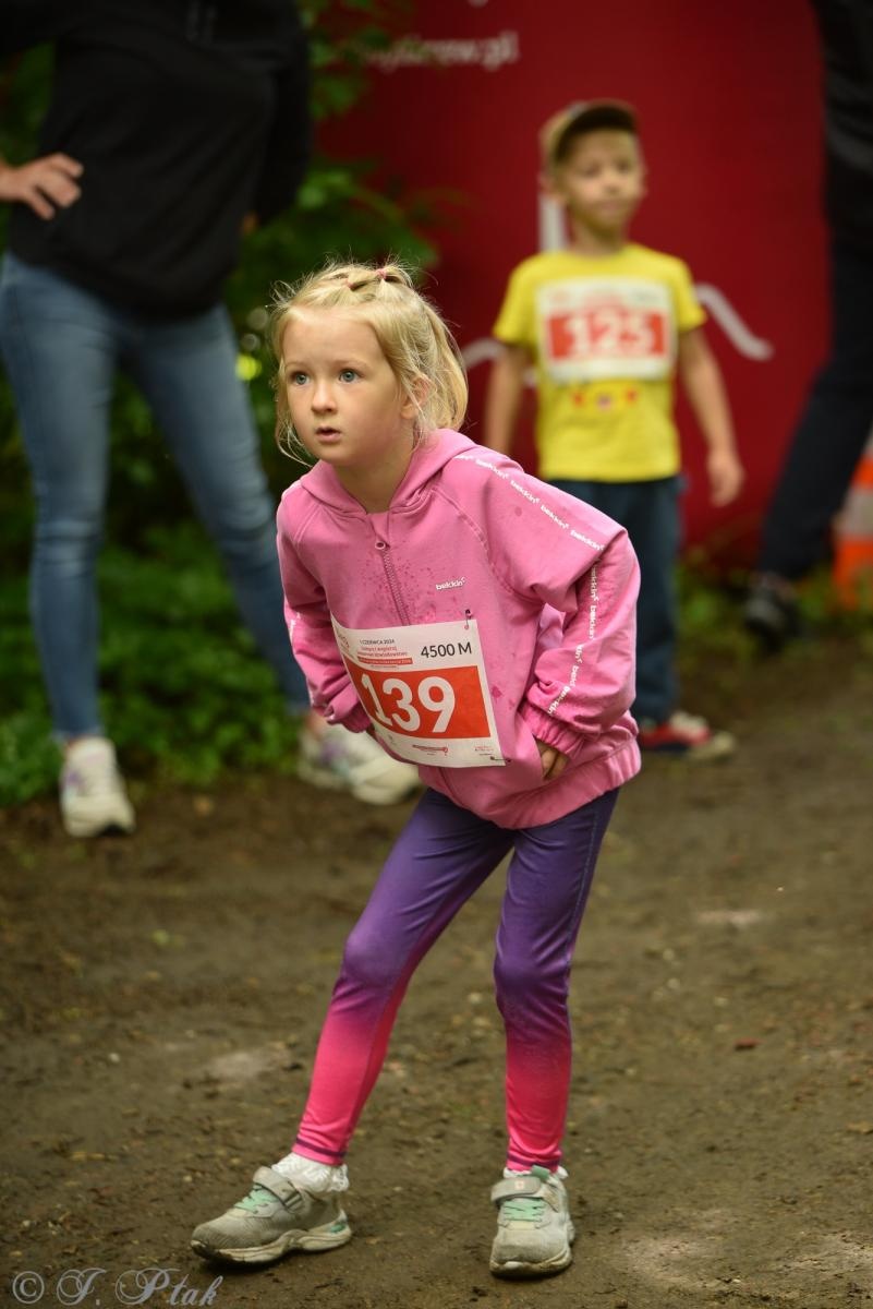 Zdjęcie w galerii na portalu naszraciborz.pl: Racibórz tętni dobrem. Honorowe krwiodawstwo wsparte biegiem wiadomości z regionu