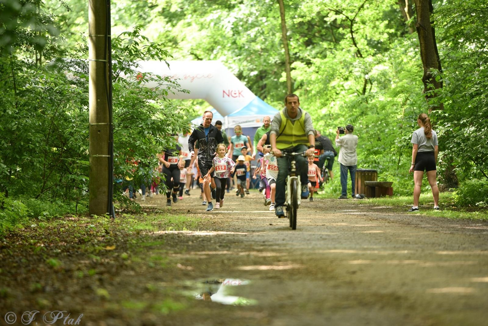 Zdjęcie w galerii na portalu naszraciborz.pl: Racibórz tętni dobrem. Honorowe krwiodawstwo wsparte biegiem wiadomości z regionu