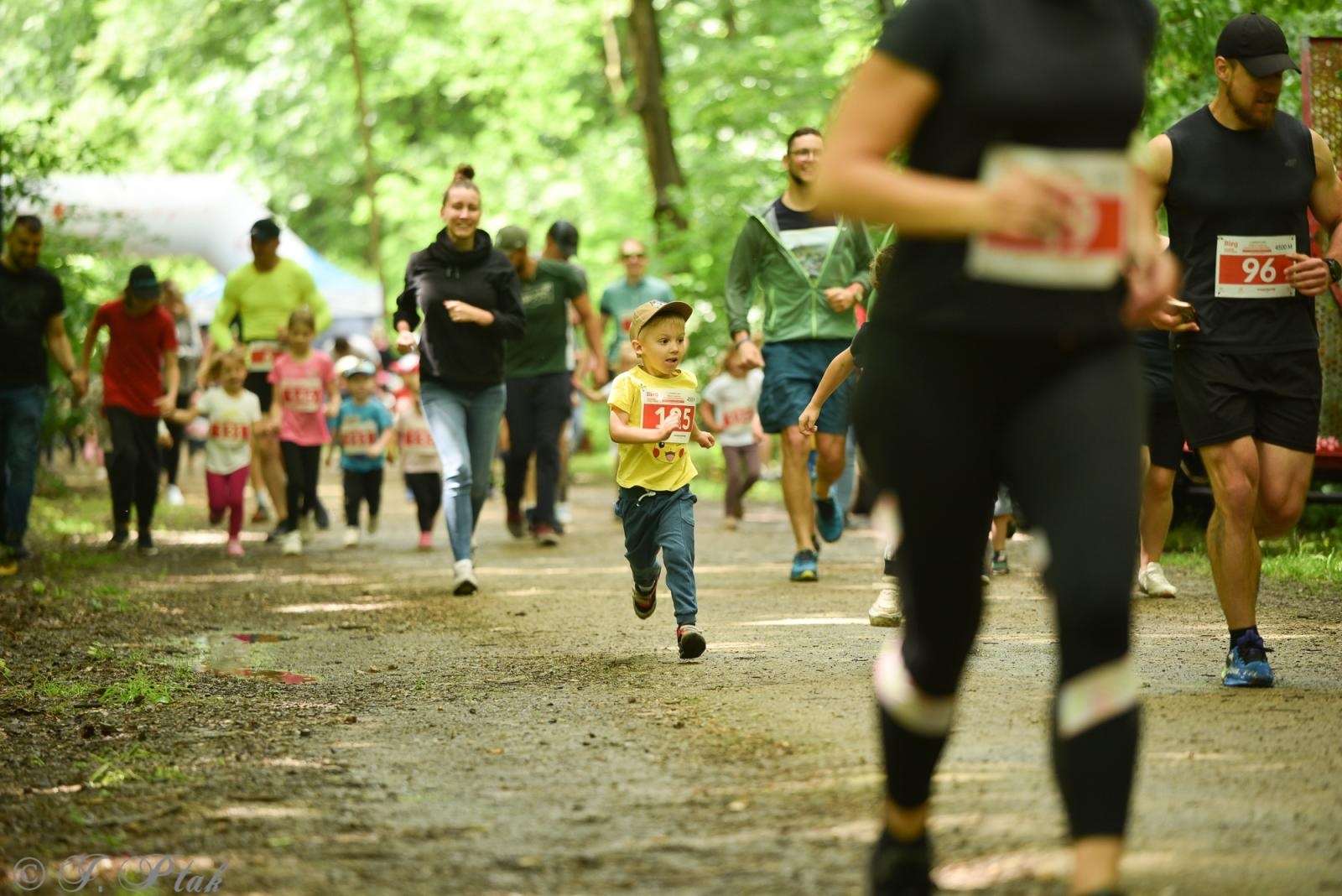 Zdjęcie w galerii na portalu naszraciborz.pl: Racibórz tętni dobrem. Honorowe krwiodawstwo wsparte biegiem wiadomości z regionu
