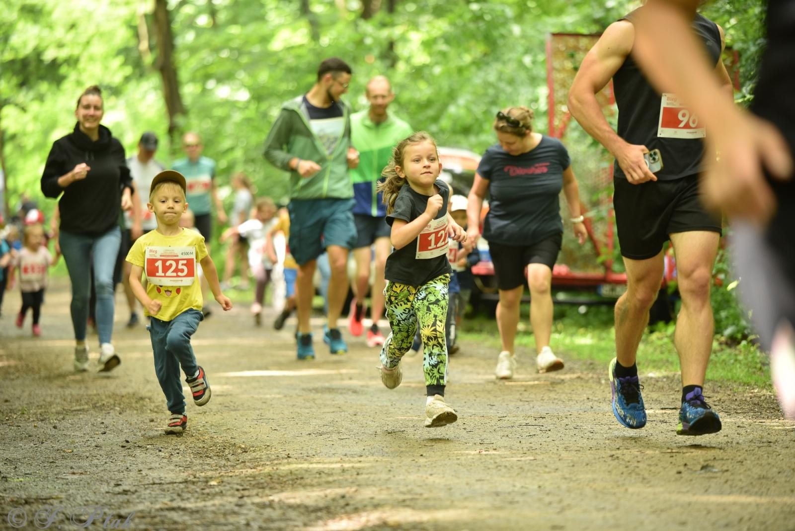 Zdjęcie w galerii na portalu naszraciborz.pl: Racibórz tętni dobrem. Honorowe krwiodawstwo wsparte biegiem wiadomości z regionu