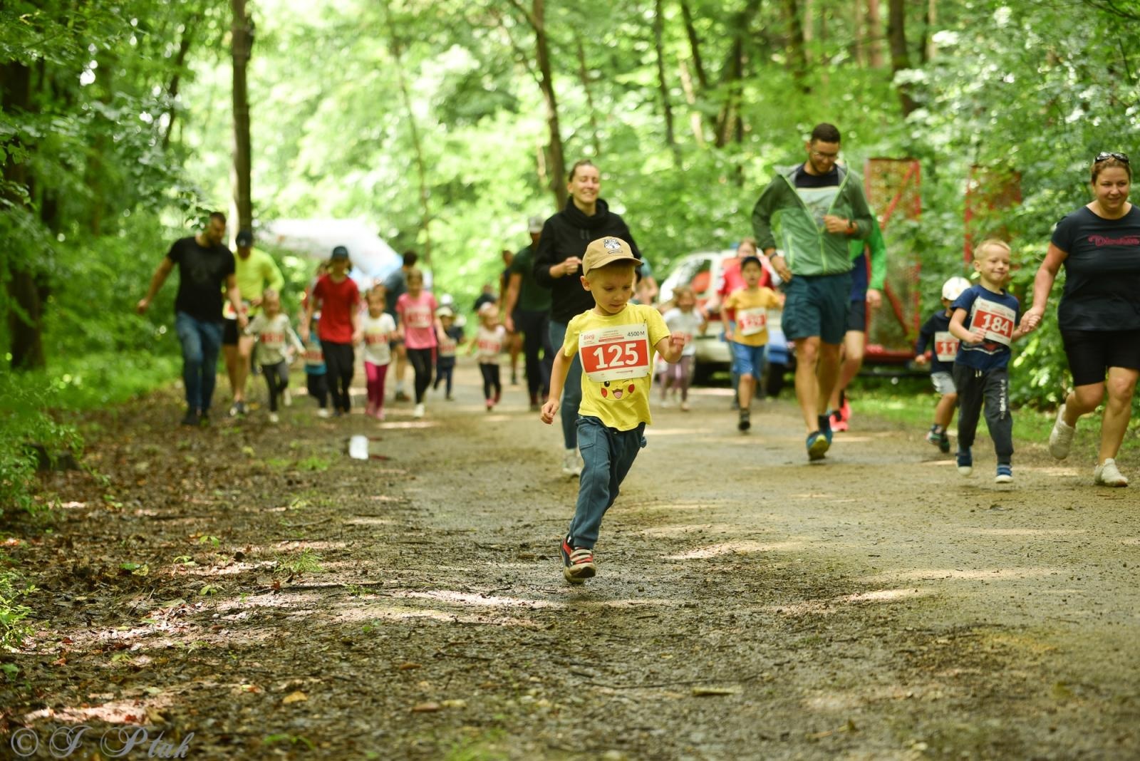 Zdjęcie w galerii na portalu naszraciborz.pl: Racibórz tętni dobrem. Honorowe krwiodawstwo wsparte biegiem wiadomości z regionu