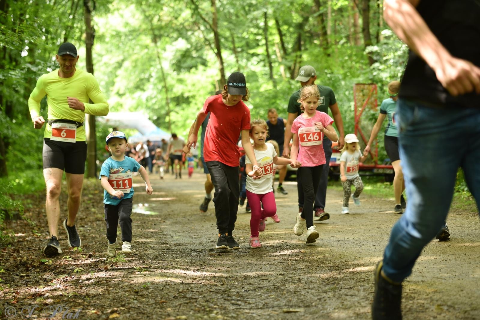 Zdjęcie w galerii na portalu naszraciborz.pl: Racibórz tętni dobrem. Honorowe krwiodawstwo wsparte biegiem wiadomości z regionu