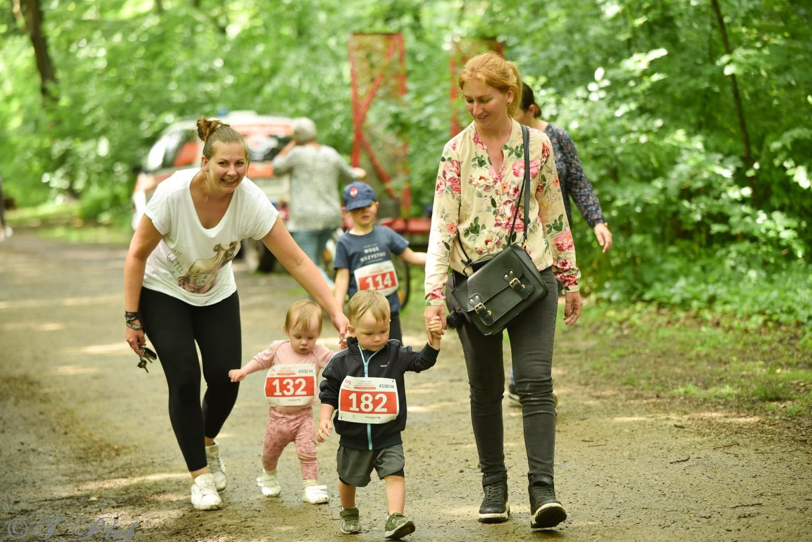 Zdjęcie w galerii na portalu naszraciborz.pl: Racibórz tętni dobrem. Honorowe krwiodawstwo wsparte biegiem wiadomości z regionu