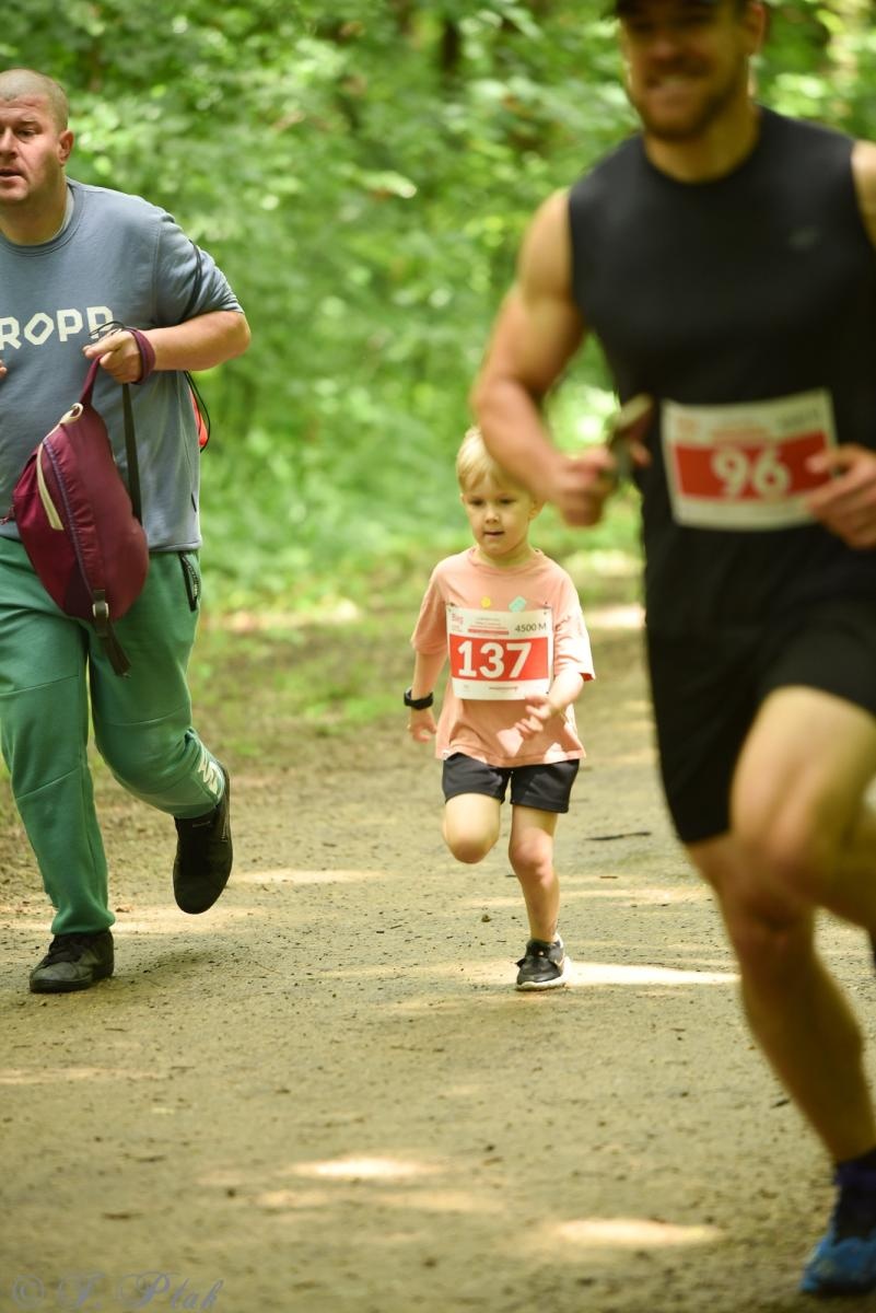Zdjęcie w galerii na portalu naszraciborz.pl: Racibórz tętni dobrem. Honorowe krwiodawstwo wsparte biegiem wiadomości z regionu