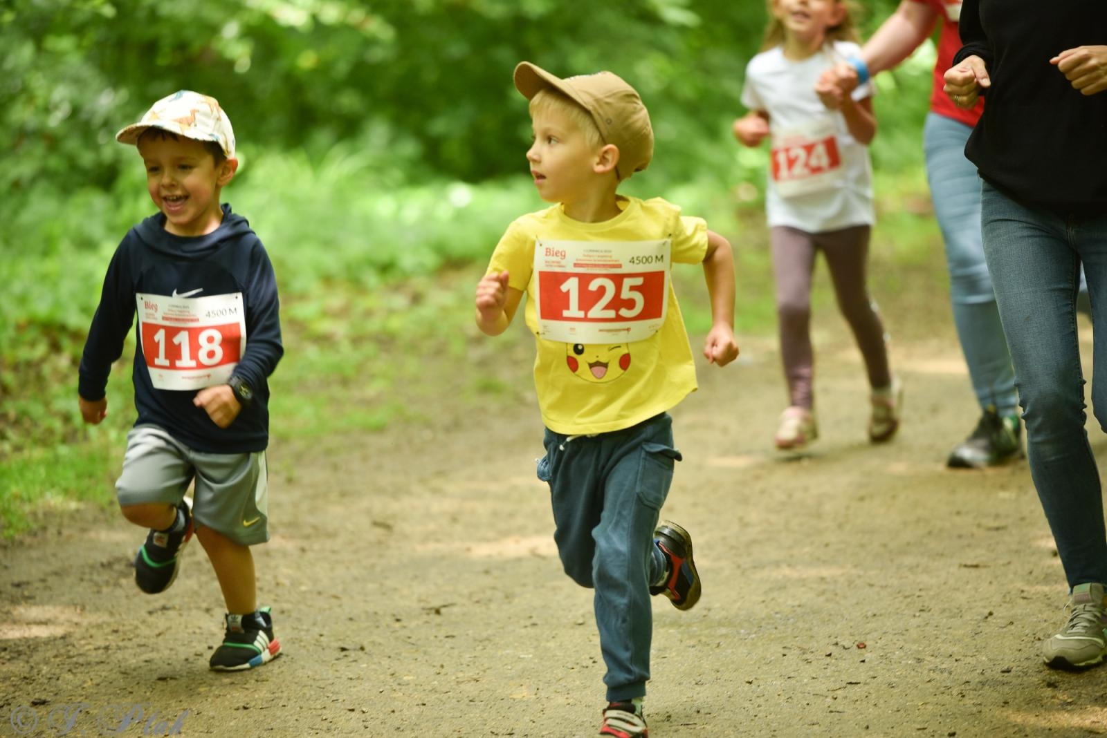 Zdjęcie w galerii na portalu naszraciborz.pl: Racibórz tętni dobrem. Honorowe krwiodawstwo wsparte biegiem wiadomości z regionu