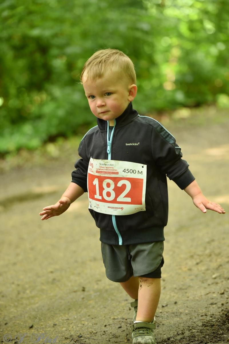 Zdjęcie w galerii na portalu naszraciborz.pl: Racibórz tętni dobrem. Honorowe krwiodawstwo wsparte biegiem wiadomości z regionu