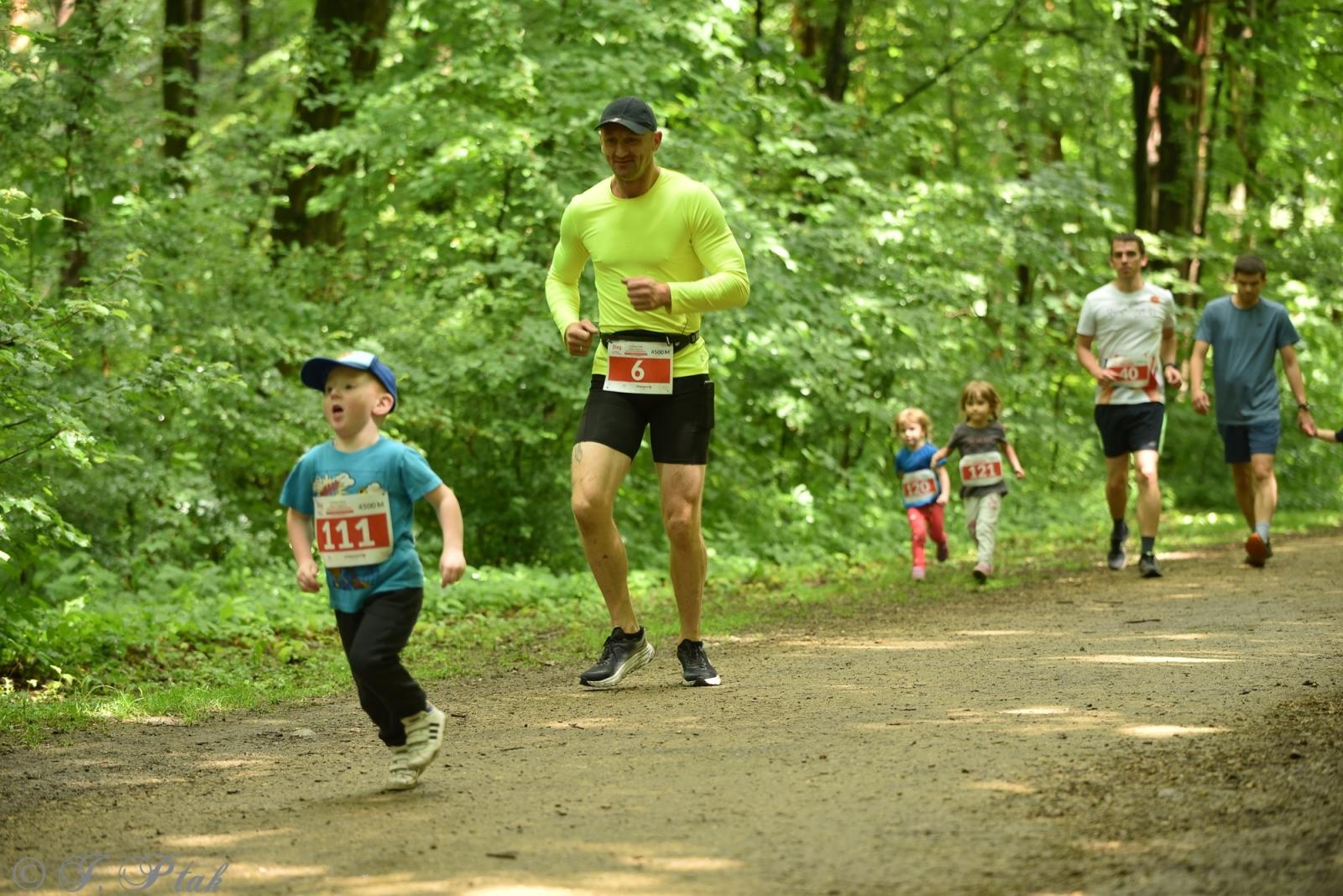 Zdjęcie w galerii na portalu naszraciborz.pl: Racibórz tętni dobrem. Honorowe krwiodawstwo wsparte biegiem wiadomości z regionu