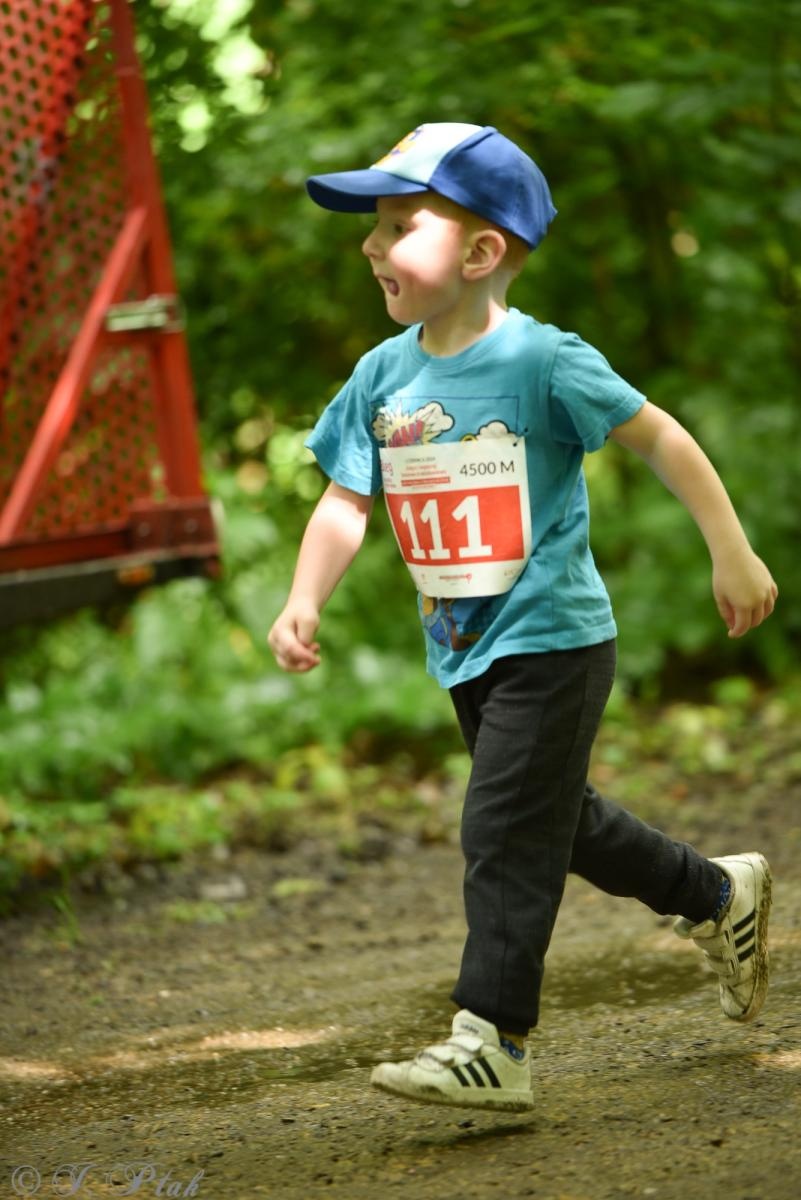Zdjęcie w galerii na portalu naszraciborz.pl: Racibórz tętni dobrem. Honorowe krwiodawstwo wsparte biegiem wiadomości z regionu