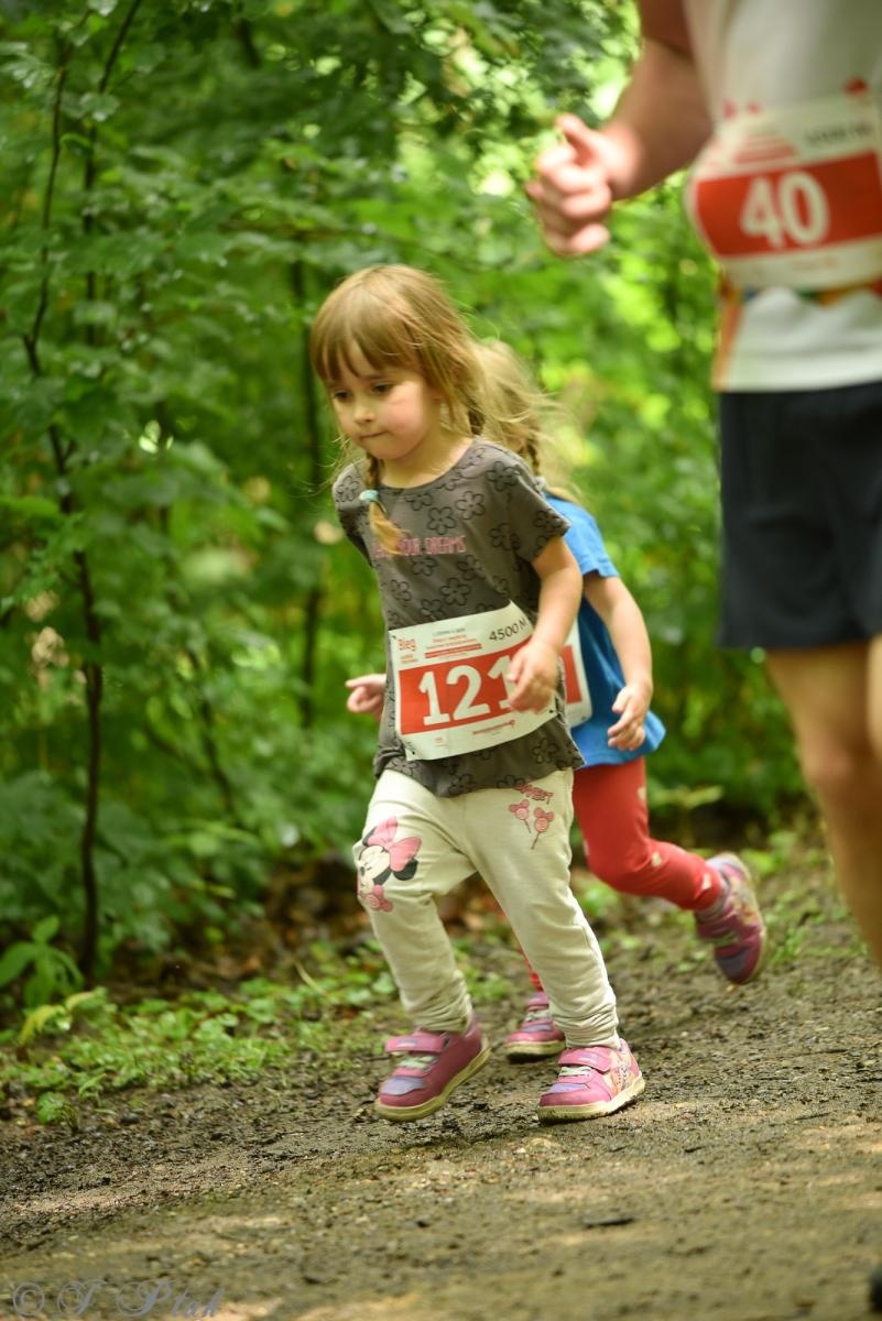 Zdjęcie w galerii na portalu naszraciborz.pl: Racibórz tętni dobrem. Honorowe krwiodawstwo wsparte biegiem wiadomości z regionu