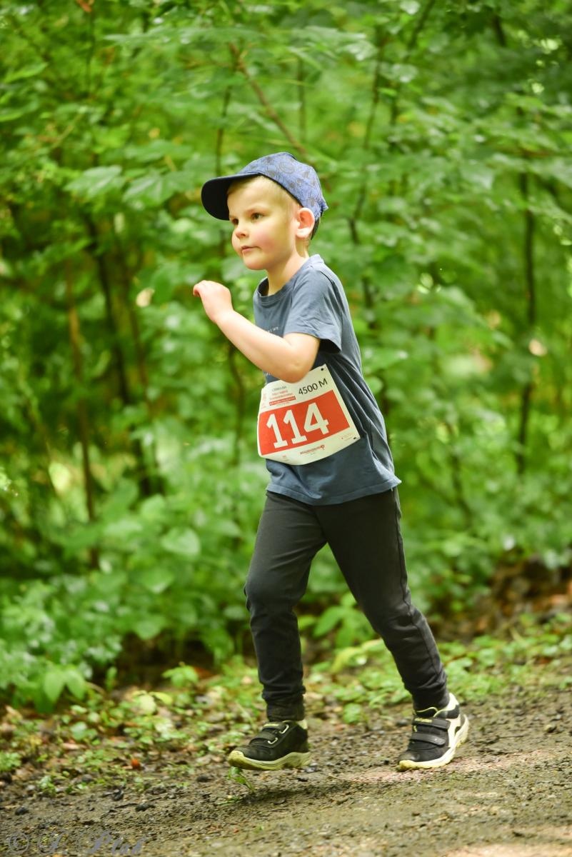 Zdjęcie w galerii na portalu naszraciborz.pl: Racibórz tętni dobrem. Honorowe krwiodawstwo wsparte biegiem wiadomości z regionu