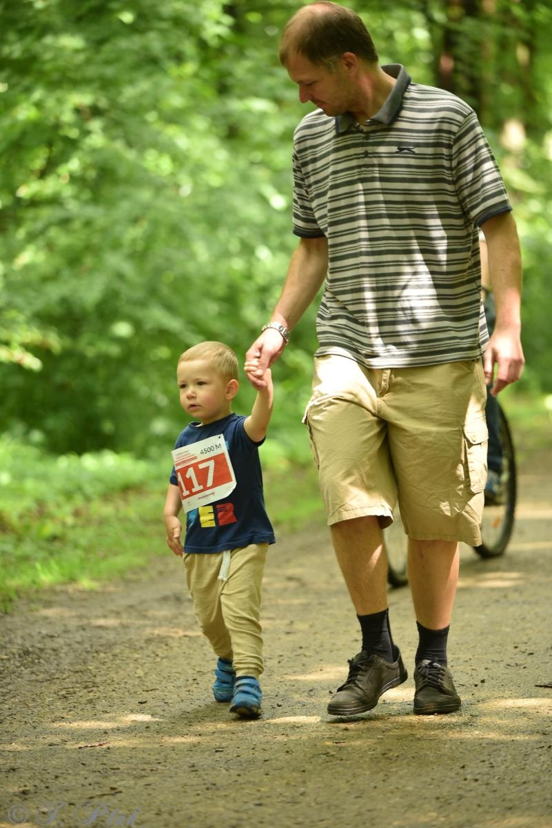 Zdjęcie w galerii na portalu naszraciborz.pl: Racibórz tętni dobrem. Honorowe krwiodawstwo wsparte biegiem wiadomości z regionu