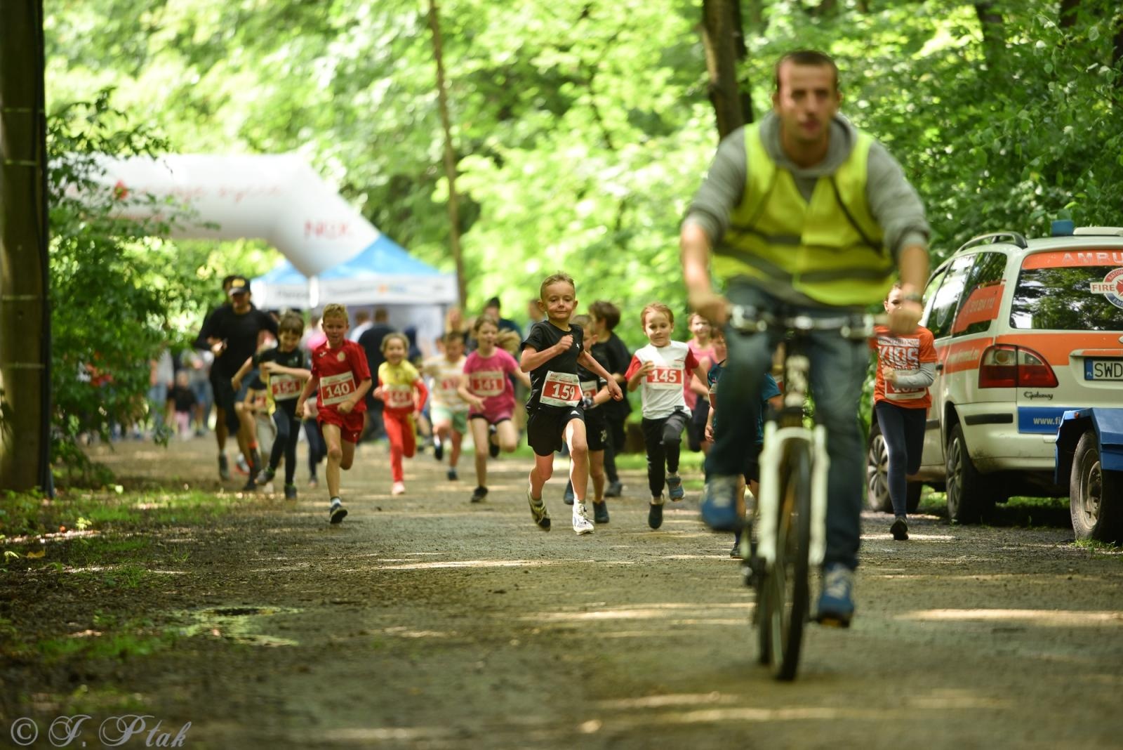 Zdjęcie w galerii na portalu naszraciborz.pl: Racibórz tętni dobrem. Honorowe krwiodawstwo wsparte biegiem wiadomości z regionu