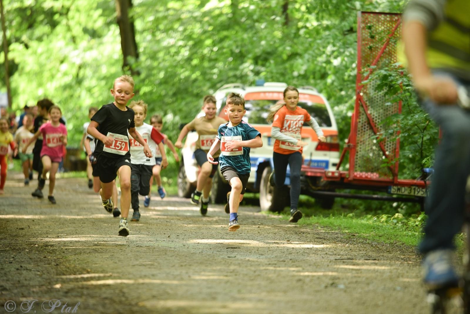 Zdjęcie w galerii na portalu naszraciborz.pl: Racibórz tętni dobrem. Honorowe krwiodawstwo wsparte biegiem wiadomości z regionu
