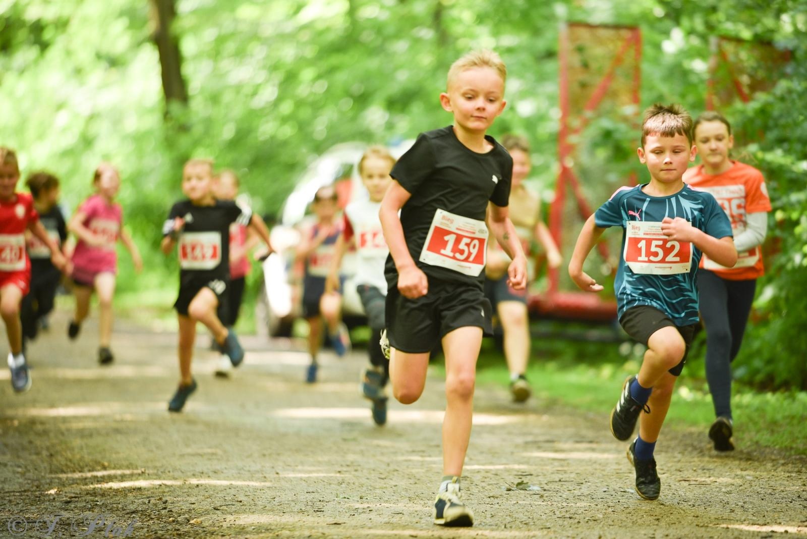 Zdjęcie w galerii na portalu naszraciborz.pl: Racibórz tętni dobrem. Honorowe krwiodawstwo wsparte biegiem wiadomości z regionu