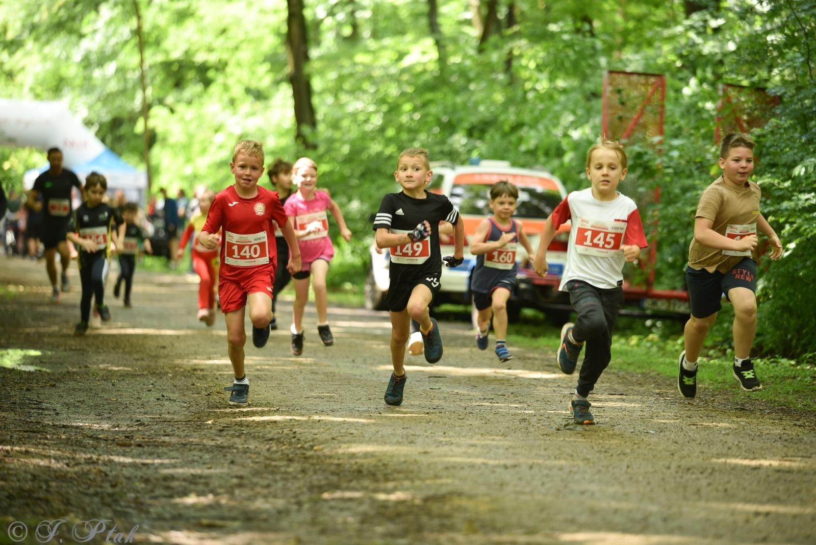 Zdjęcie w galerii na portalu naszraciborz.pl: Racibórz tętni dobrem. Honorowe krwiodawstwo wsparte biegiem wiadomości z regionu