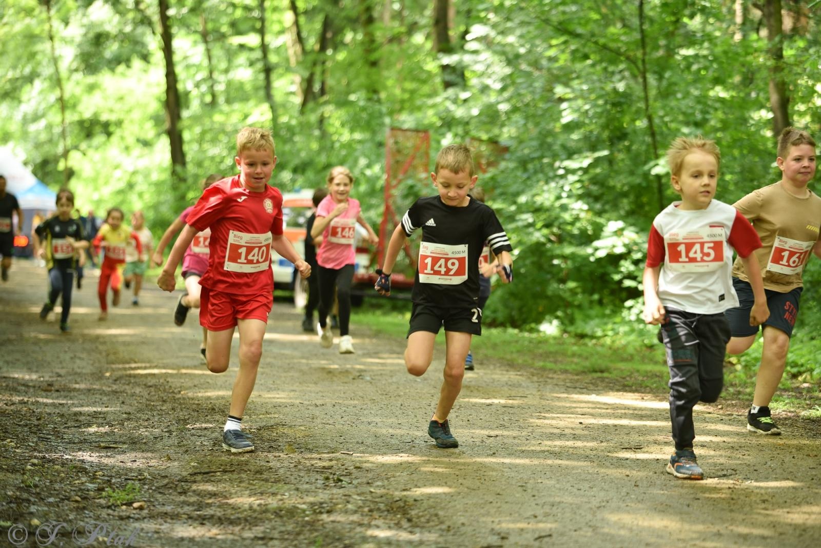 Zdjęcie w galerii na portalu naszraciborz.pl: Racibórz tętni dobrem. Honorowe krwiodawstwo wsparte biegiem wiadomości z regionu