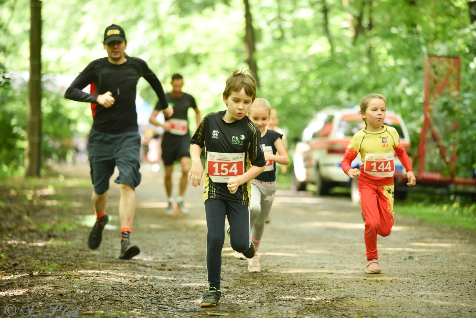 Zdjęcie w galerii na portalu naszraciborz.pl: Racibórz tętni dobrem. Honorowe krwiodawstwo wsparte biegiem wiadomości z regionu