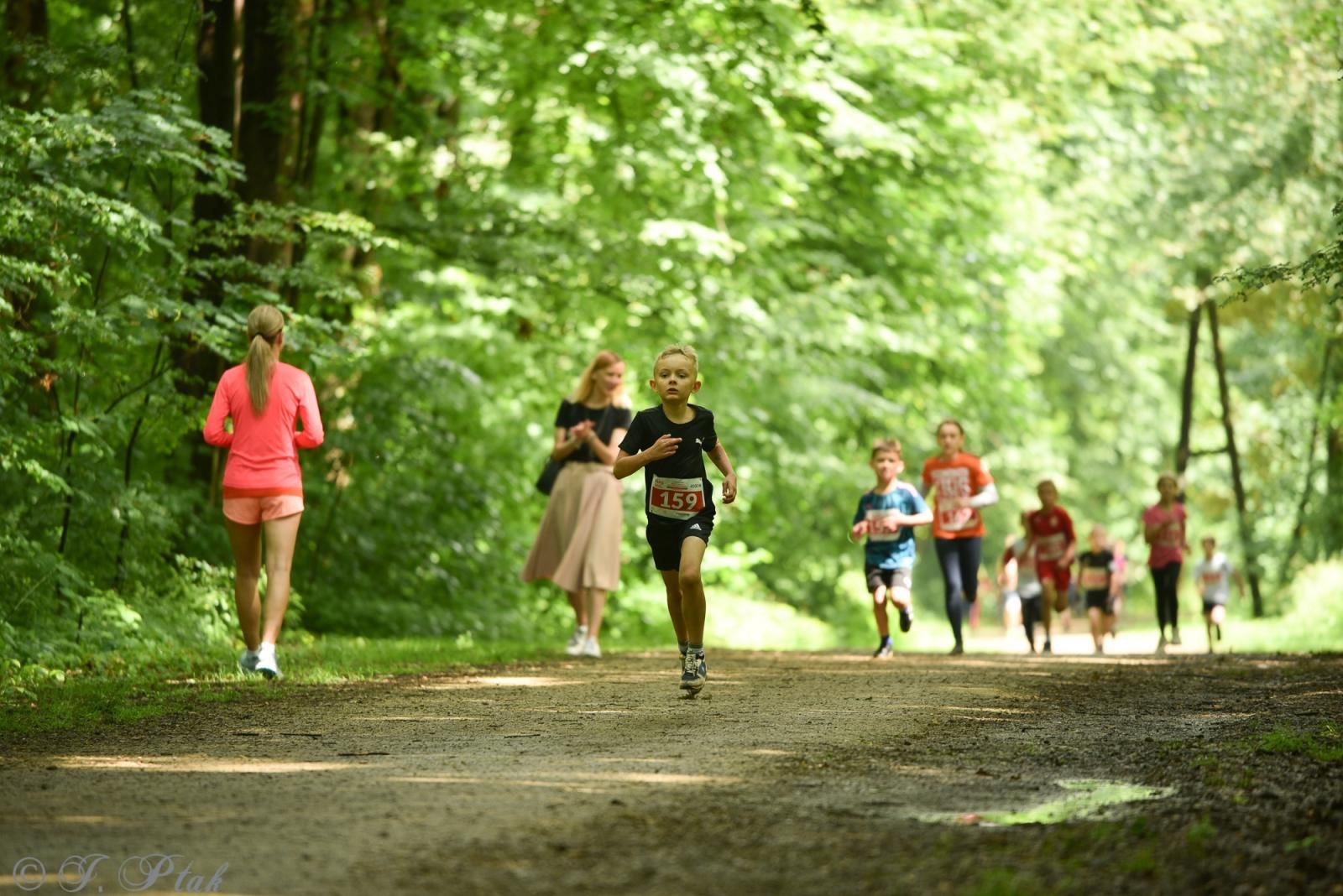 Zdjęcie w galerii na portalu naszraciborz.pl: Racibórz tętni dobrem. Honorowe krwiodawstwo wsparte biegiem wiadomości z regionu