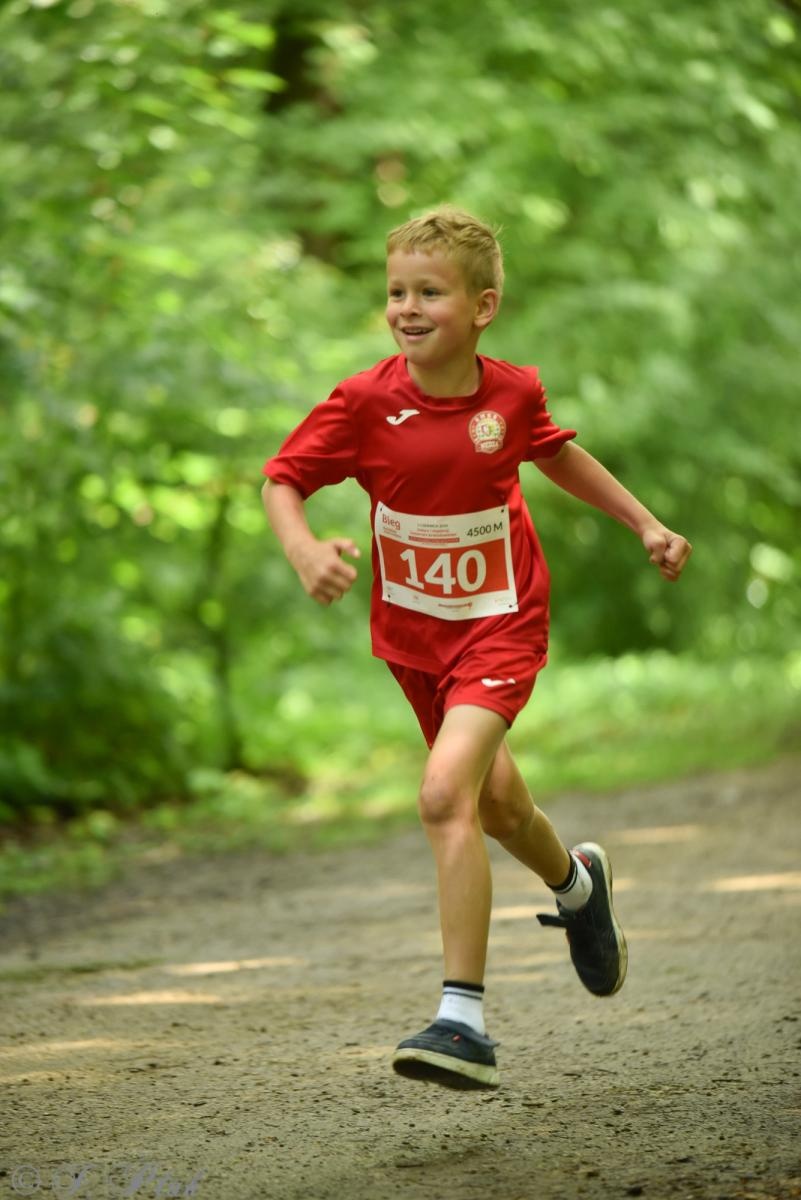 Zdjęcie w galerii na portalu naszraciborz.pl: Racibórz tętni dobrem. Honorowe krwiodawstwo wsparte biegiem wiadomości z regionu