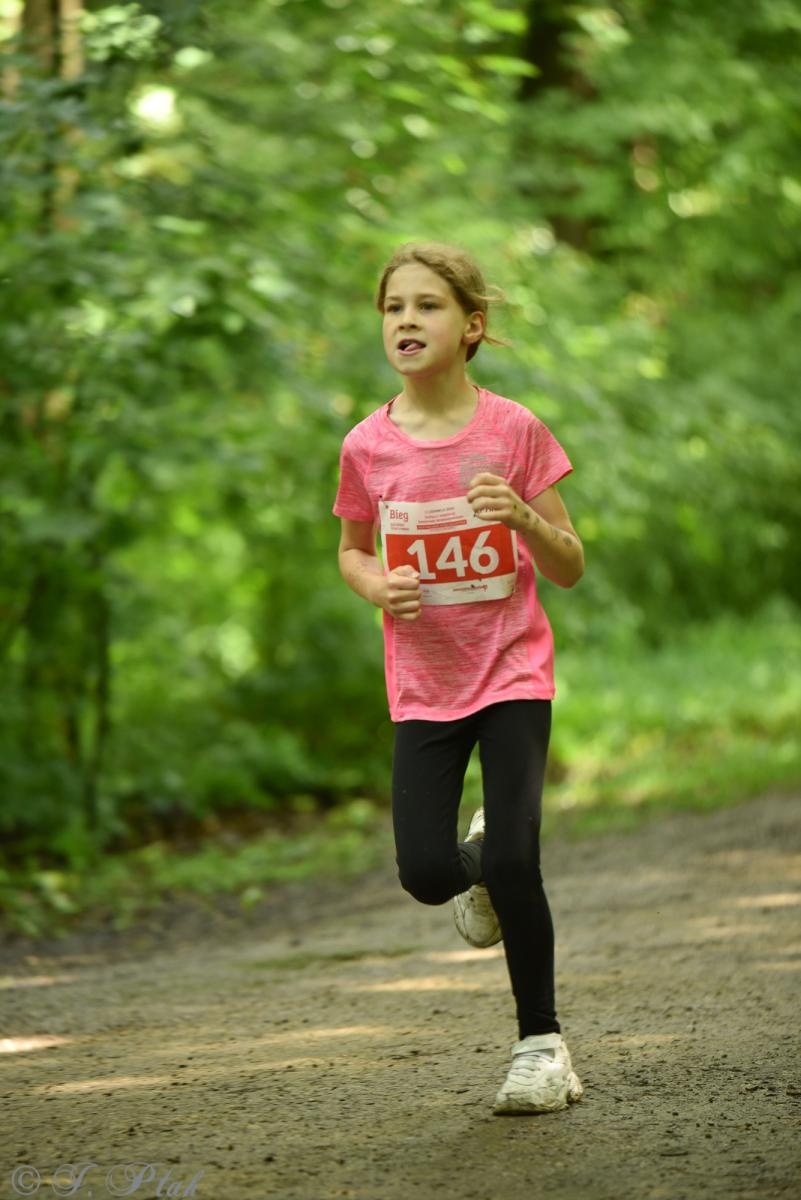 Zdjęcie w galerii na portalu naszraciborz.pl: Racibórz tętni dobrem. Honorowe krwiodawstwo wsparte biegiem wiadomości z regionu