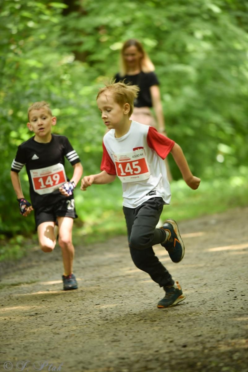Zdjęcie w galerii na portalu naszraciborz.pl: Racibórz tętni dobrem. Honorowe krwiodawstwo wsparte biegiem wiadomości z regionu