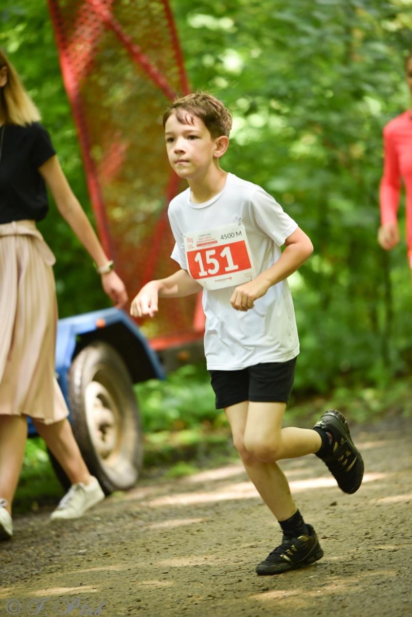 Zdjęcie w galerii na portalu naszraciborz.pl: Racibórz tętni dobrem. Honorowe krwiodawstwo wsparte biegiem wiadomości z regionu