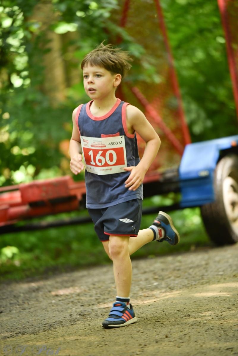 Zdjęcie w galerii na portalu naszraciborz.pl: Racibórz tętni dobrem. Honorowe krwiodawstwo wsparte biegiem wiadomości z regionu