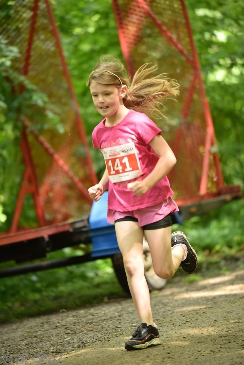 Zdjęcie w galerii na portalu naszraciborz.pl: Racibórz tętni dobrem. Honorowe krwiodawstwo wsparte biegiem wiadomości z regionu