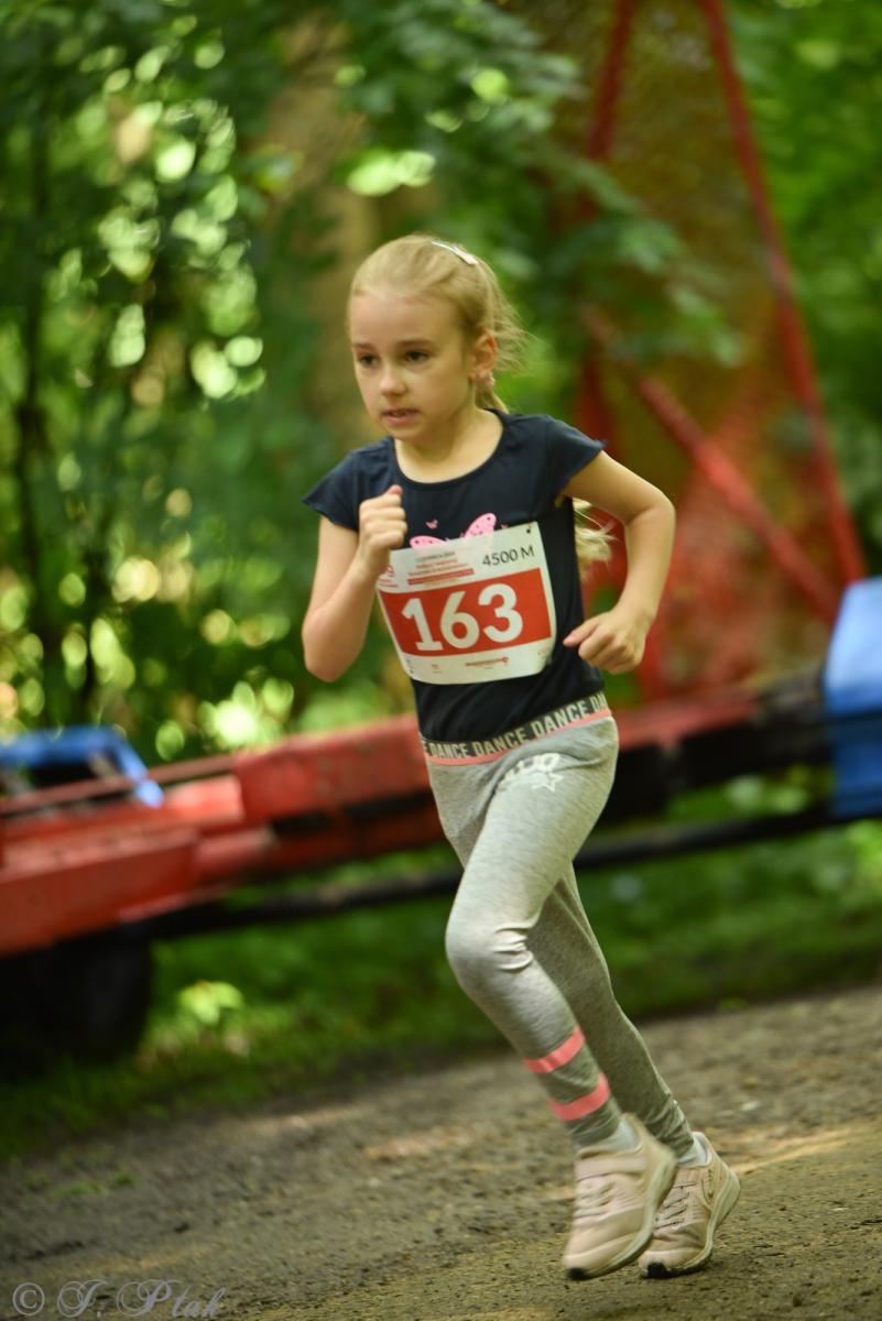 Zdjęcie w galerii na portalu naszraciborz.pl: Racibórz tętni dobrem. Honorowe krwiodawstwo wsparte biegiem wiadomości z regionu