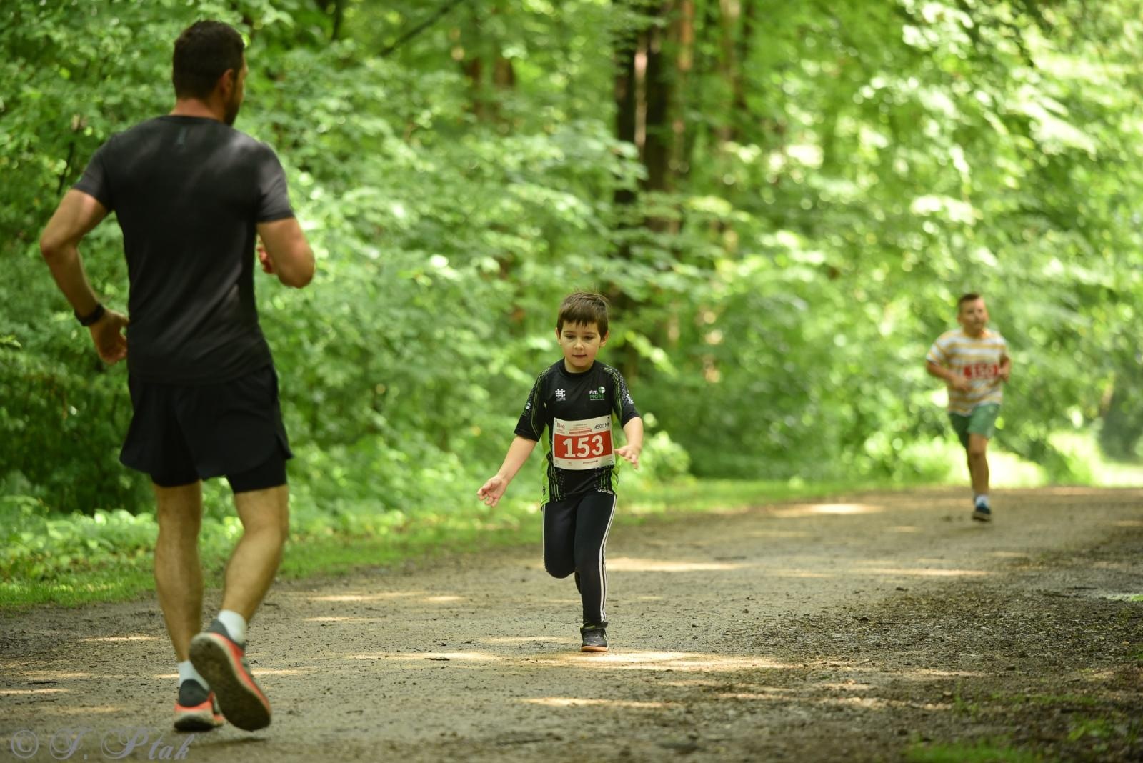 Zdjęcie w galerii na portalu naszraciborz.pl: Racibórz tętni dobrem. Honorowe krwiodawstwo wsparte biegiem wiadomości z regionu