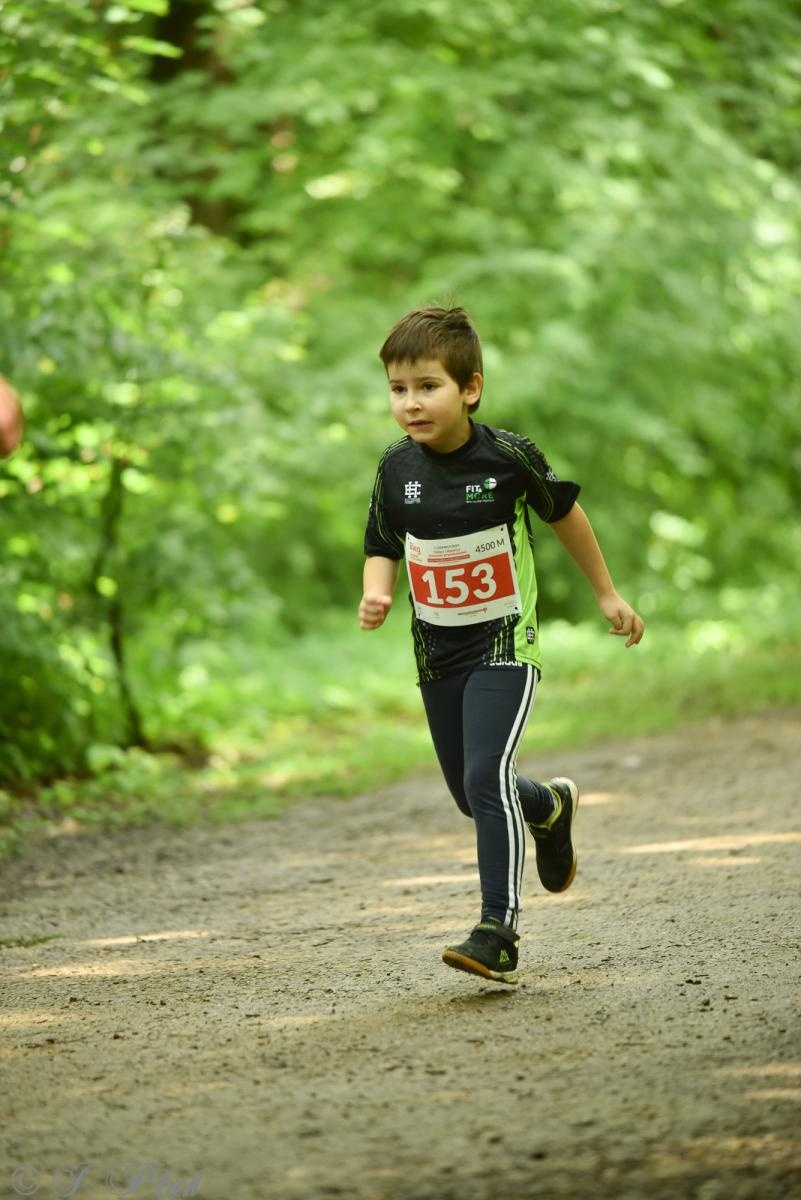 Zdjęcie w galerii na portalu naszraciborz.pl: Racibórz tętni dobrem. Honorowe krwiodawstwo wsparte biegiem wiadomości z regionu