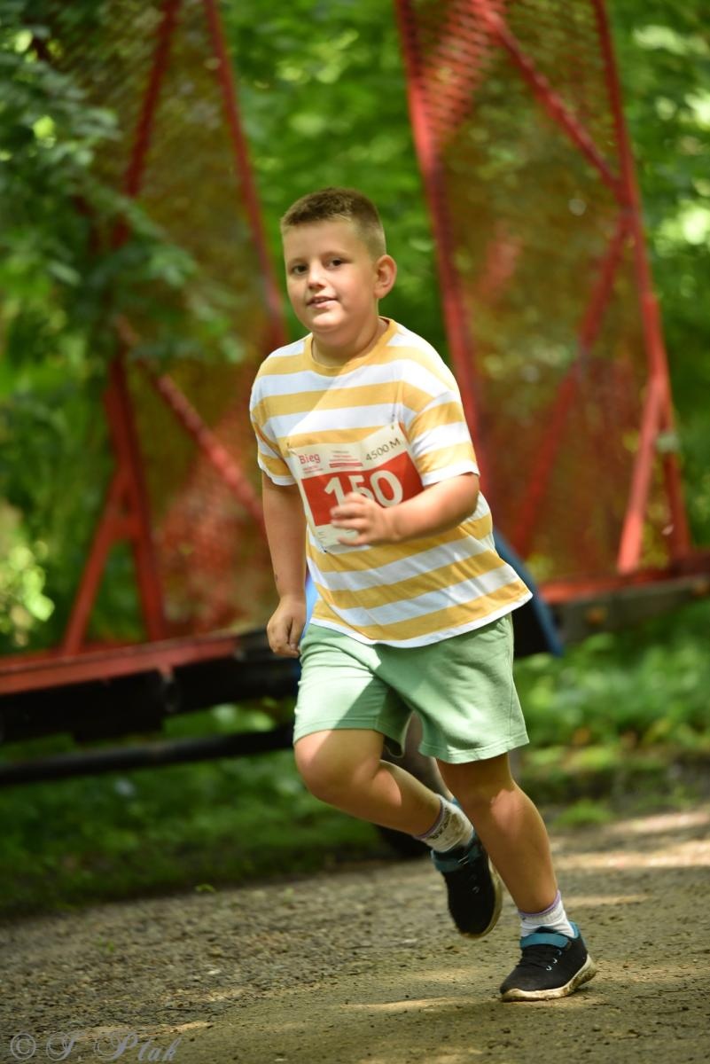 Zdjęcie w galerii na portalu naszraciborz.pl: Racibórz tętni dobrem. Honorowe krwiodawstwo wsparte biegiem wiadomości z regionu