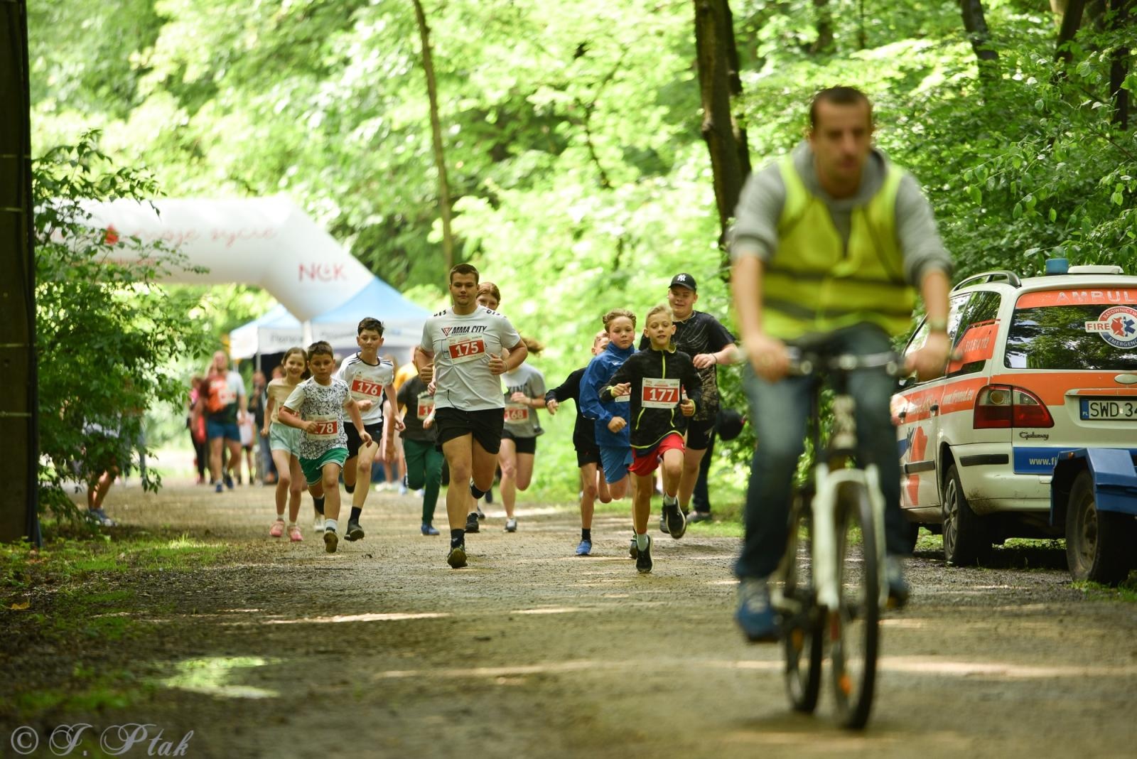 Zdjęcie w galerii na portalu naszraciborz.pl: Racibórz tętni dobrem. Honorowe krwiodawstwo wsparte biegiem wiadomości z regionu