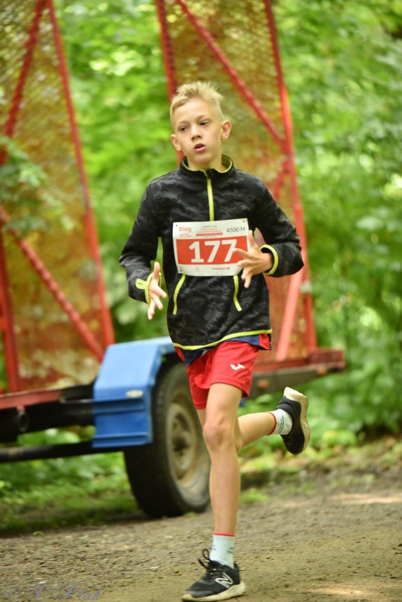 Zdjęcie w galerii na portalu naszraciborz.pl: Racibórz tętni dobrem. Honorowe krwiodawstwo wsparte biegiem wiadomości z regionu