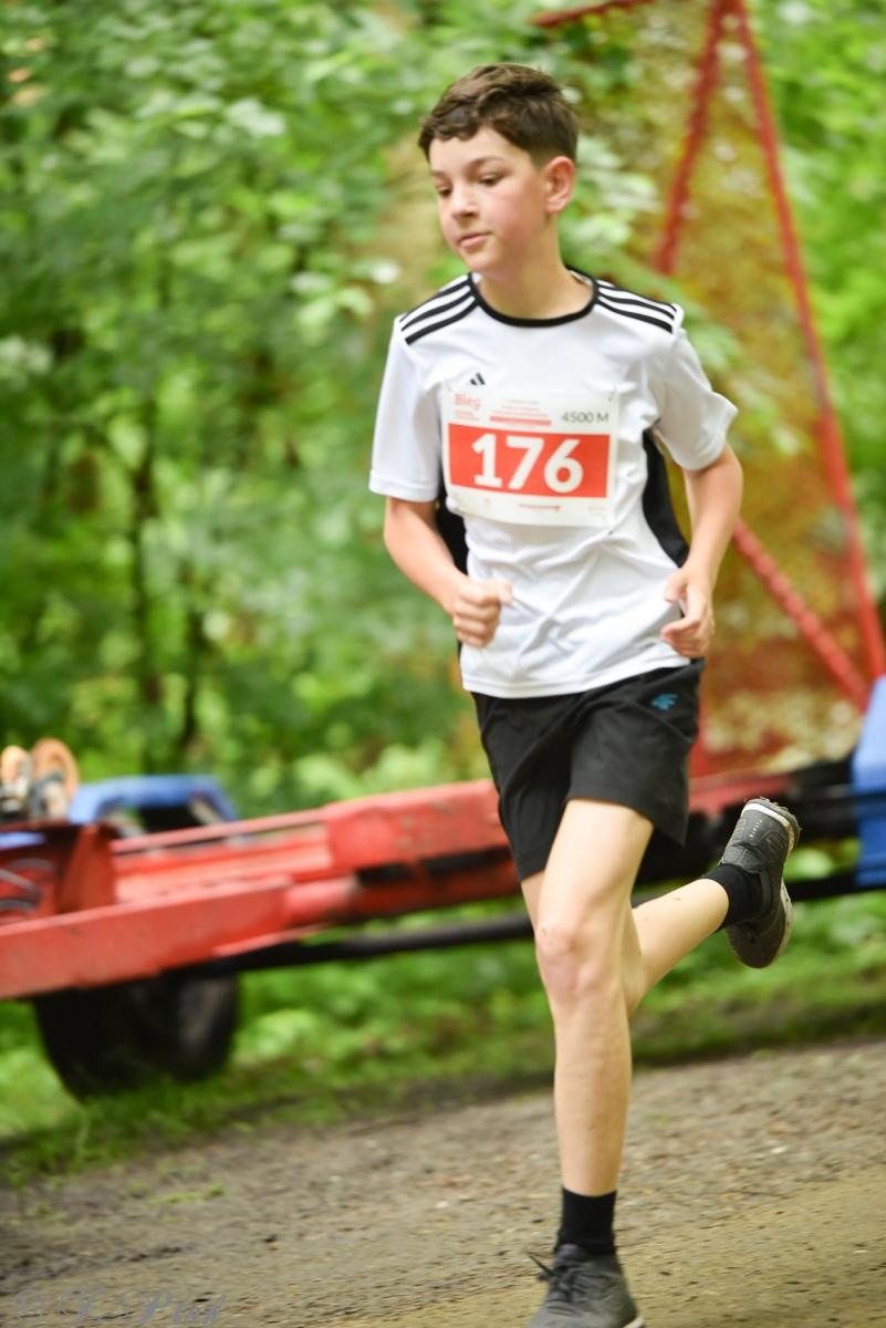 Zdjęcie w galerii na portalu naszraciborz.pl: Racibórz tętni dobrem. Honorowe krwiodawstwo wsparte biegiem wiadomości z regionu