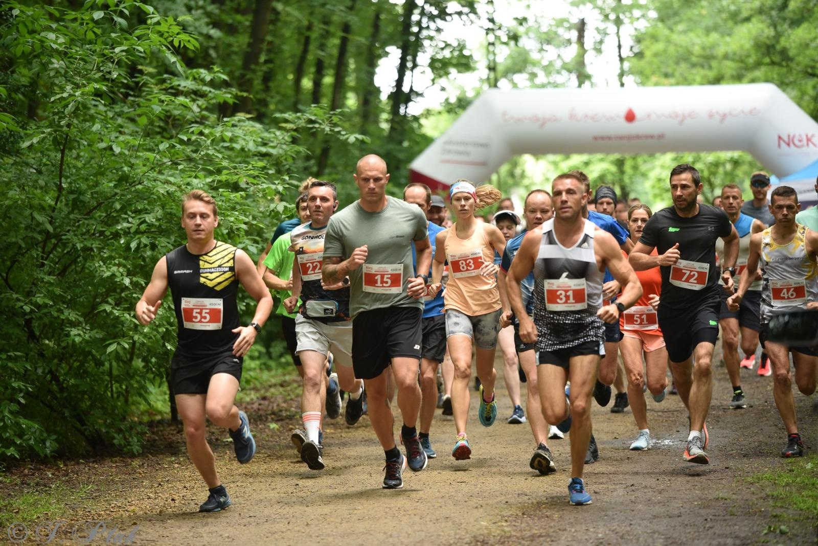 Zdjęcie w galerii na portalu naszraciborz.pl: Racibórz tętni dobrem. Honorowe krwiodawstwo wsparte biegiem wiadomości z regionu